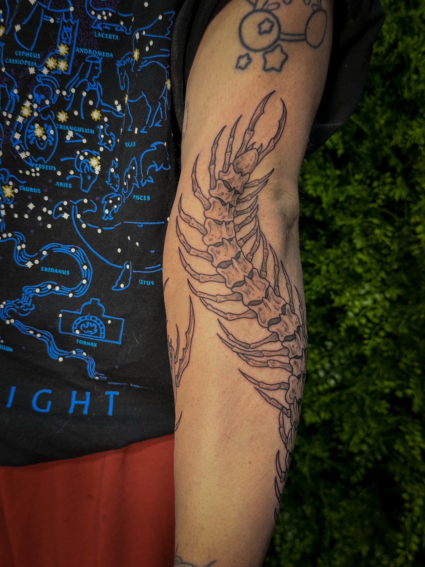 Tattoo by @rachtats โ black_and_grey