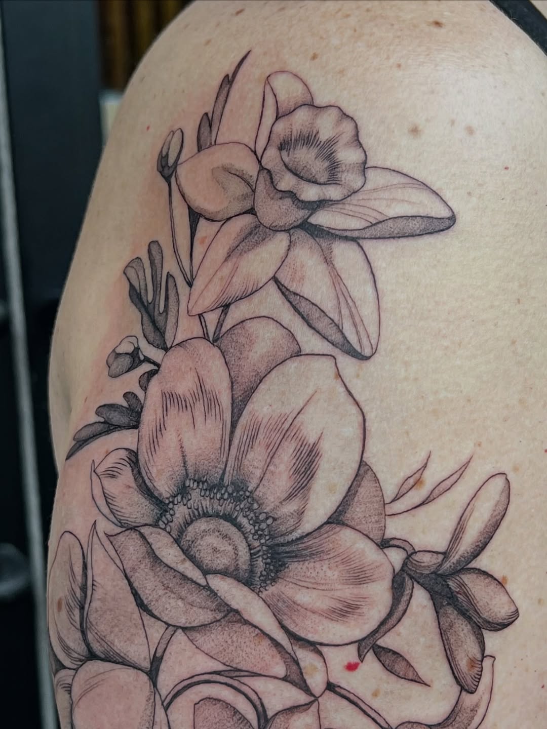 Tattoo by @thealliwilcox — black_and_grey, realism
