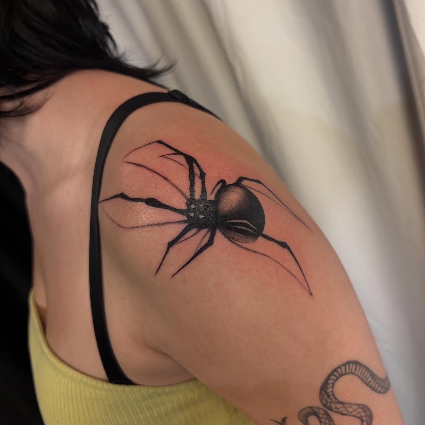 Spider black and grey tattoo on the shoulder by ꩜ 𖦹