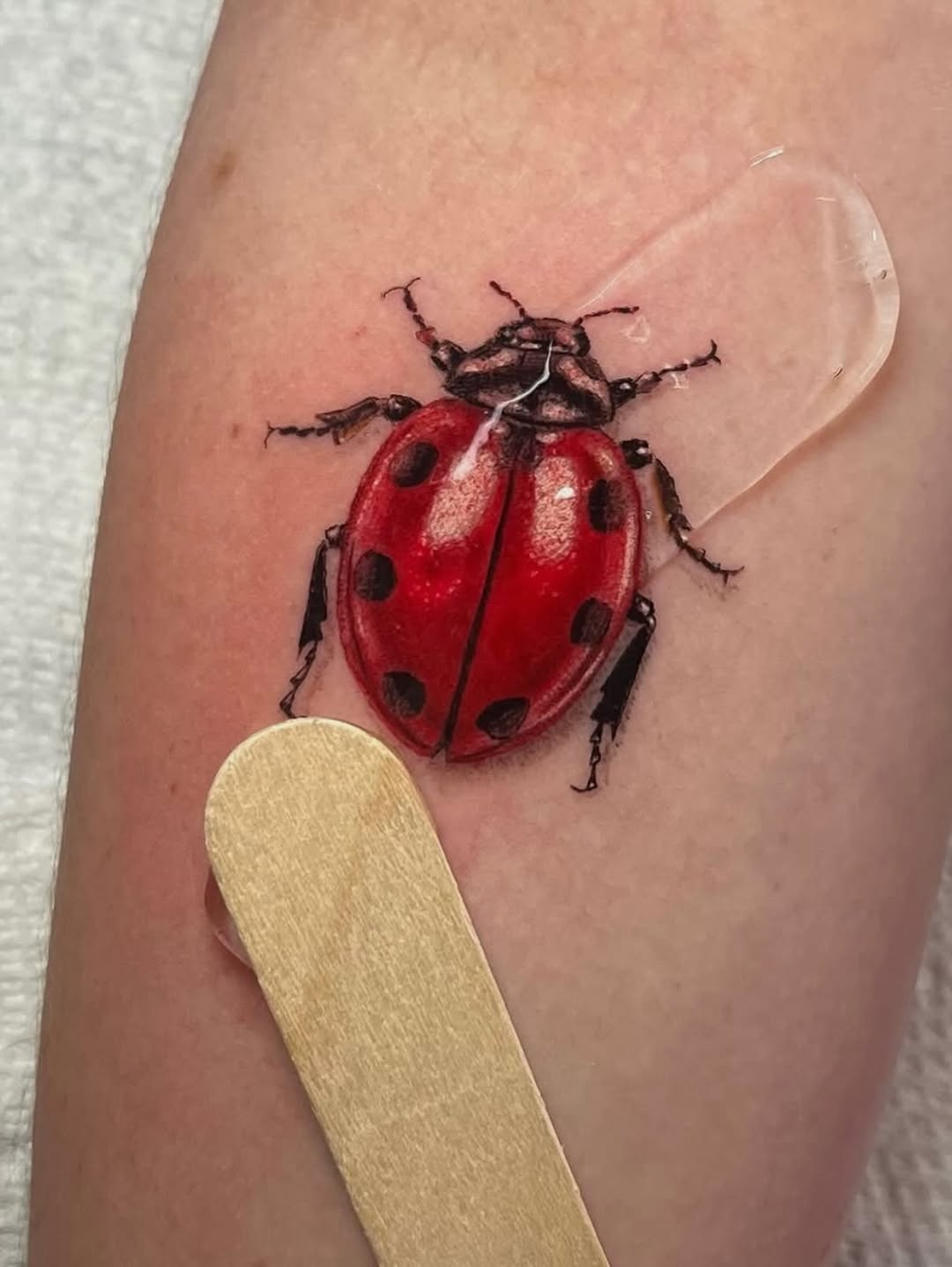 Ladybug watercolor tattoo on the forearm by EO, Chicago, Illinois