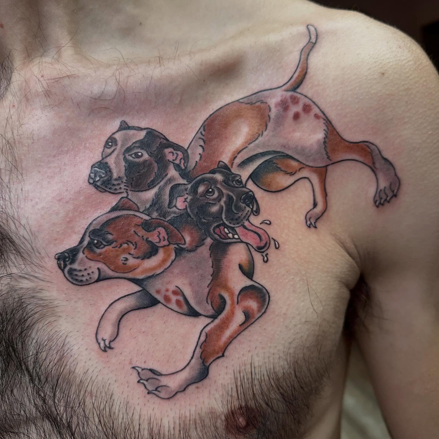 Dogs realism tattoo on the chest by Shaila Roach Decorative & Cosmetic Tattooer