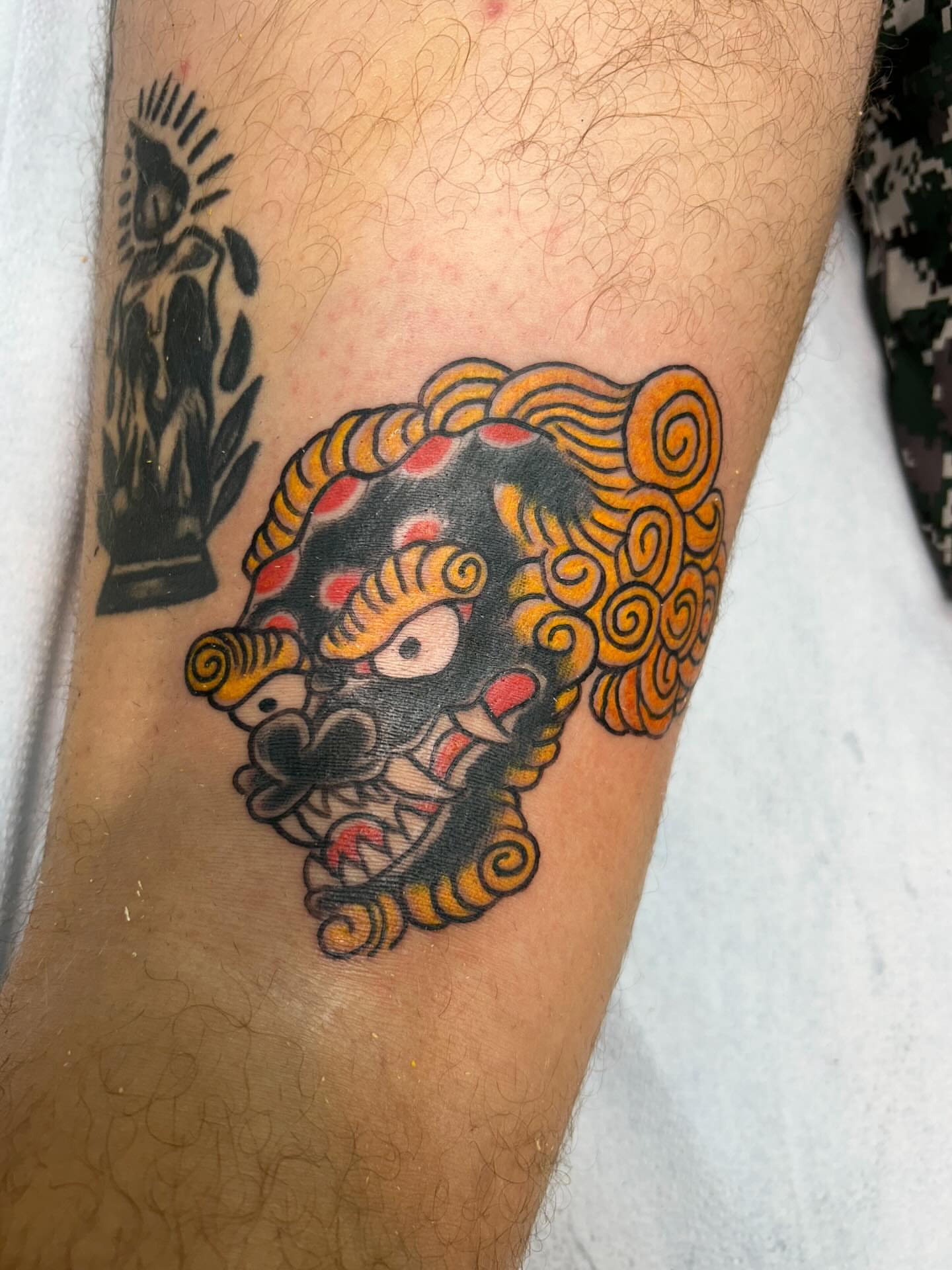 Lion American traditional tattoo on the forearm by Stogie Tony