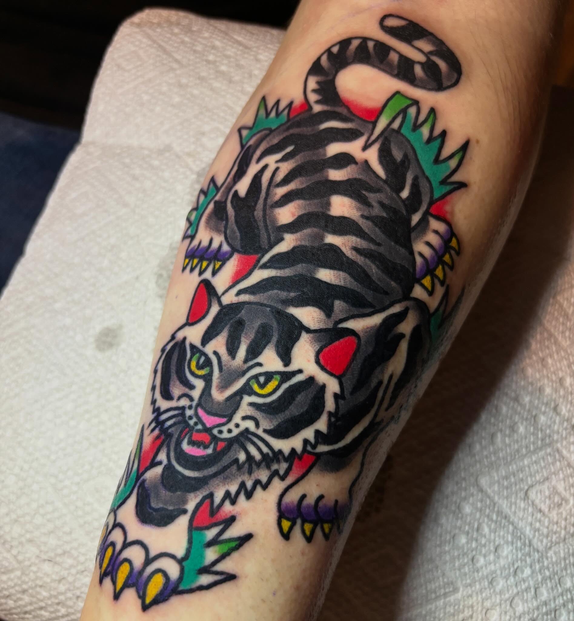 Tiger American traditional tattoo on the forearm by Mitch Ashpaugh
