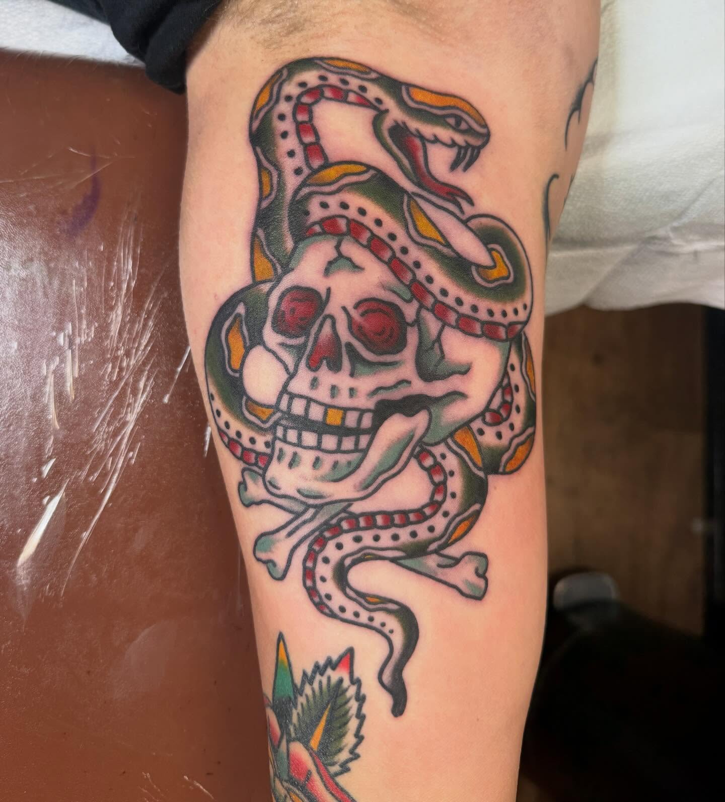 Snake and skull American traditional tattoo on the forearm by Ryan Moraski, Colorado Springs, Colorado