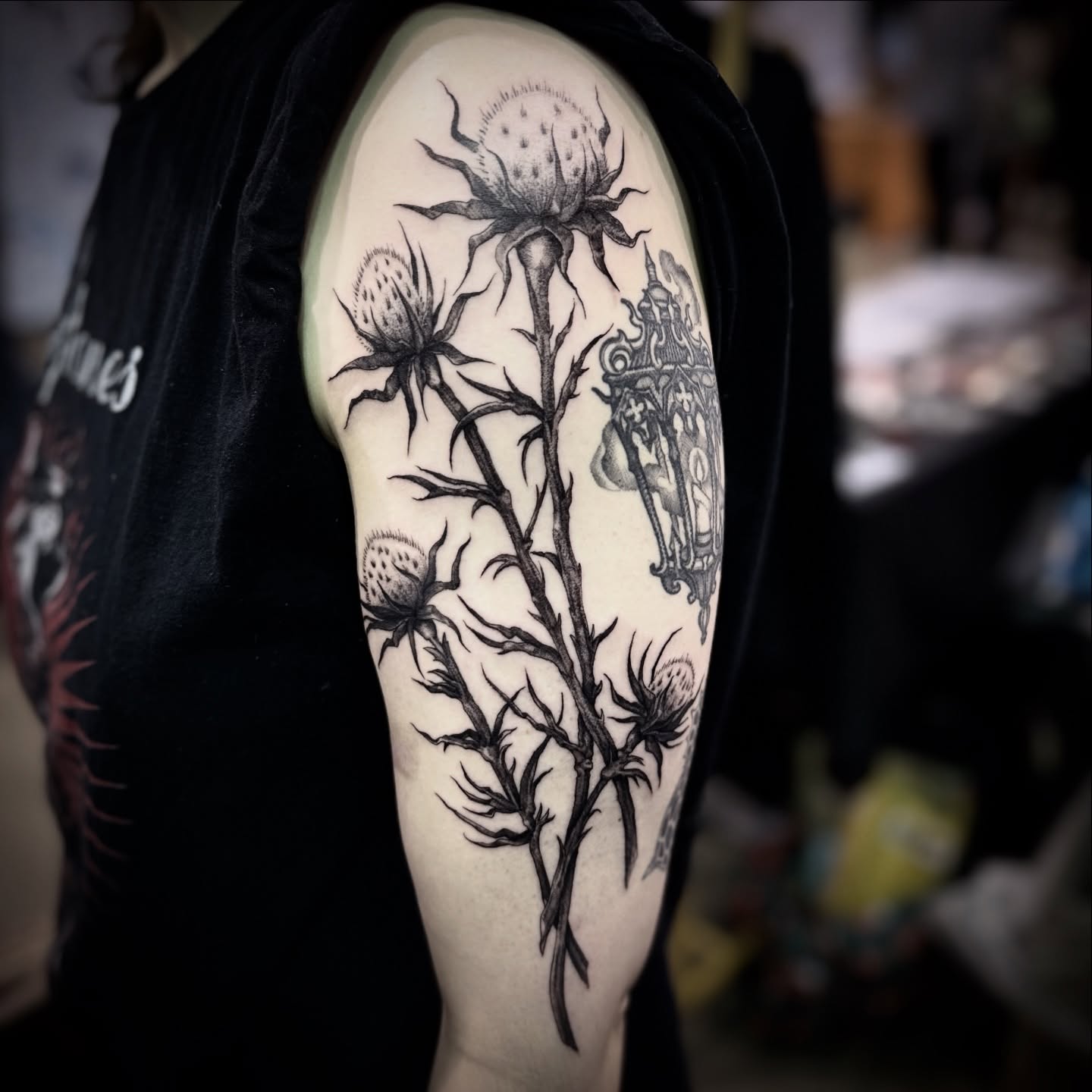 Thistle black and grey tattoo on the forearm by † Aileen † Chicago Tattoo Artist