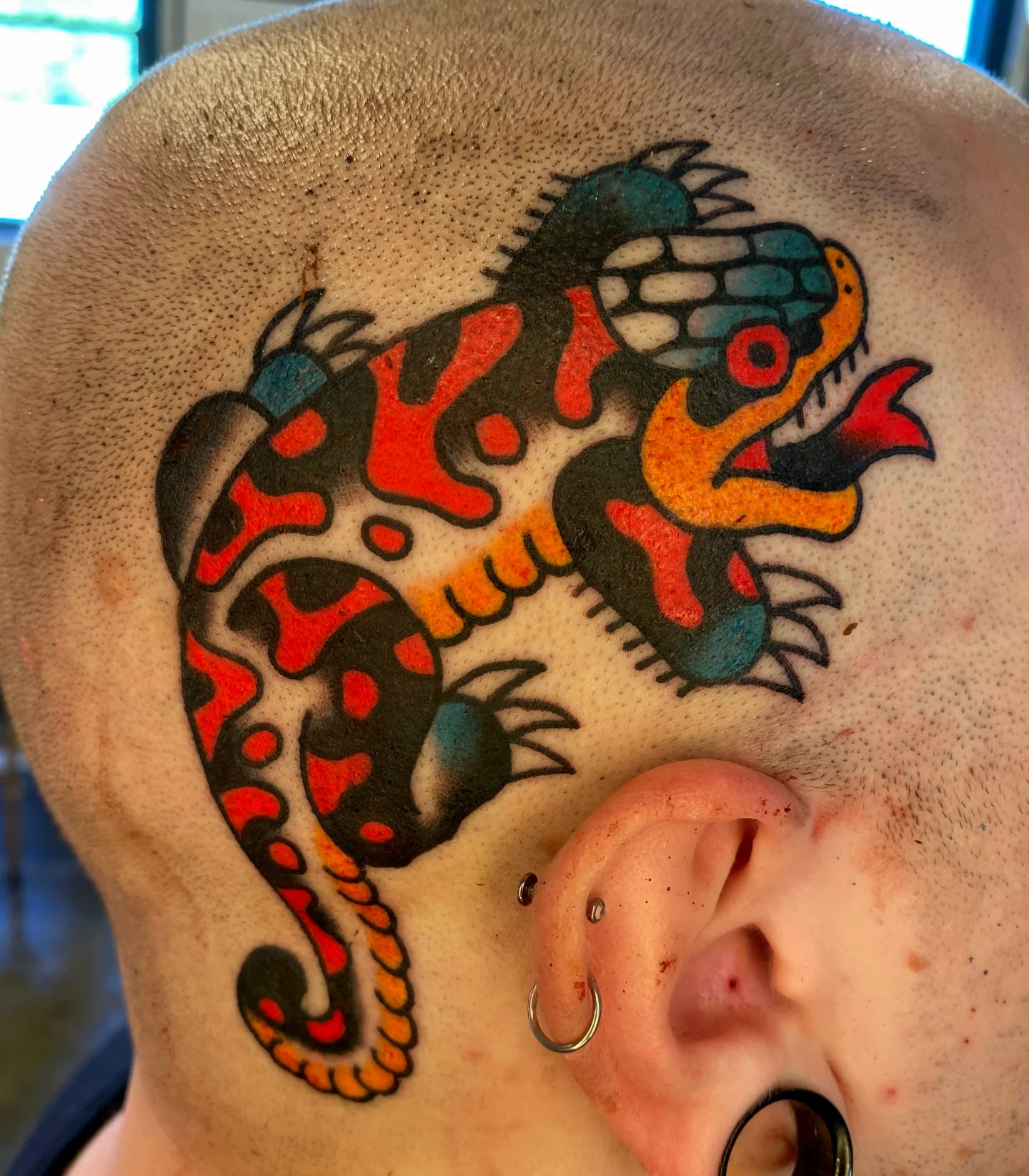 Lizard American traditional tattoo on the head by Quinn, Kansas City, Missouri