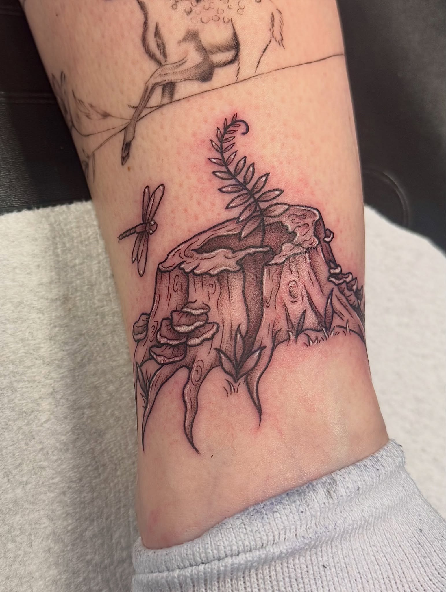 Tree stump with dragonfly black and grey tattoo on the forearm by Kat Bennett