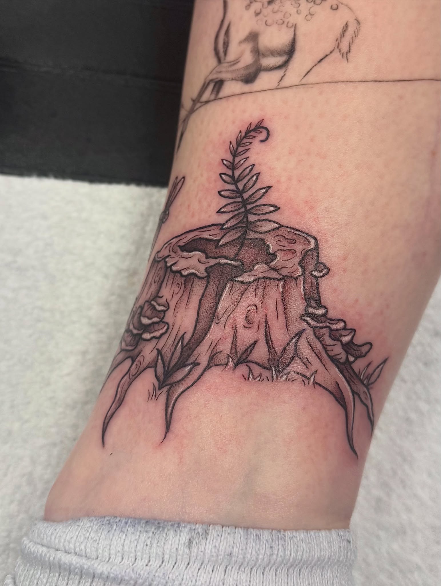 Tree stump with plant black and grey tattoo on the forearm by Kat Bennett