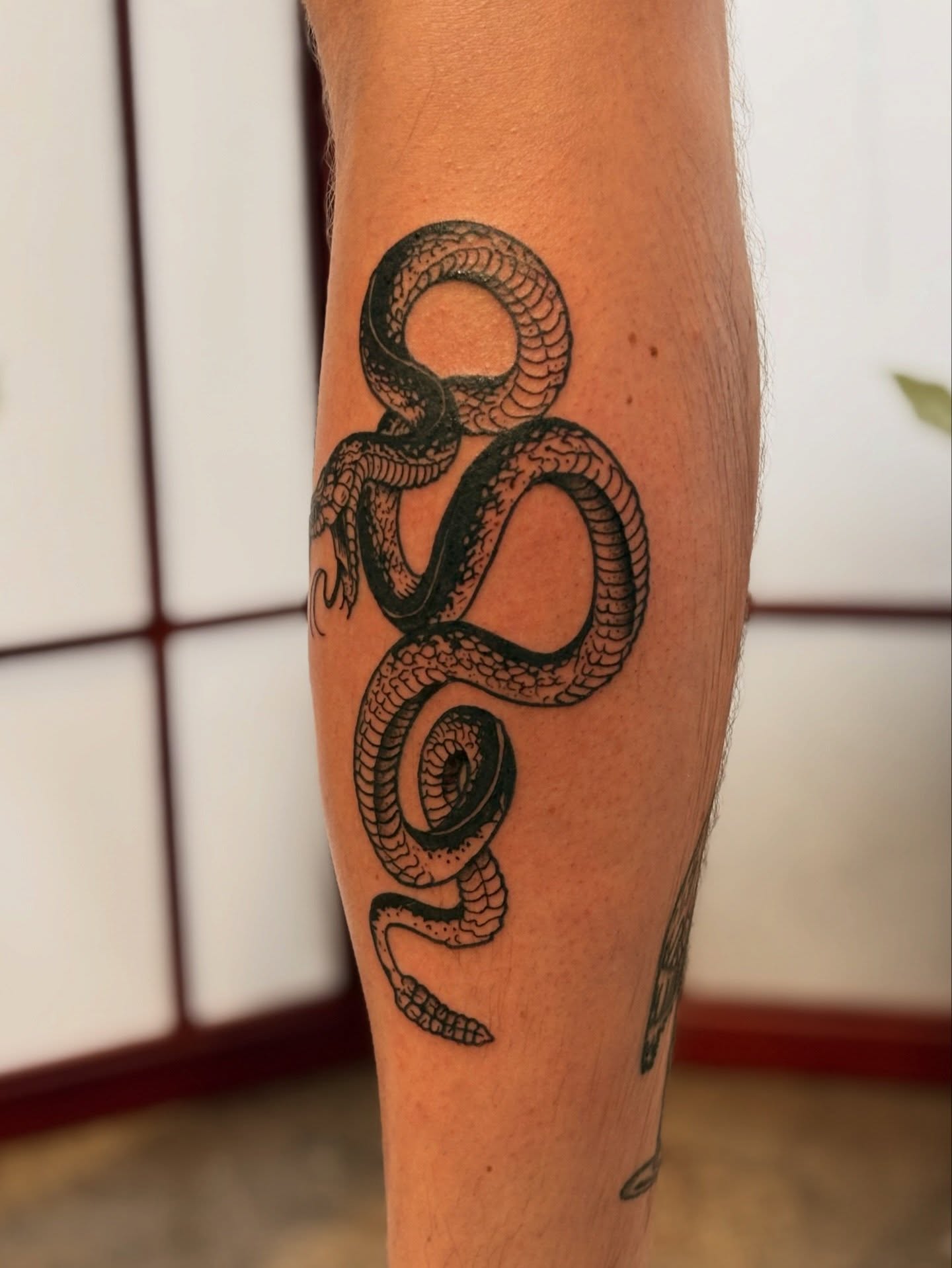 Snake American traditional tattoo on the forearm by CJ