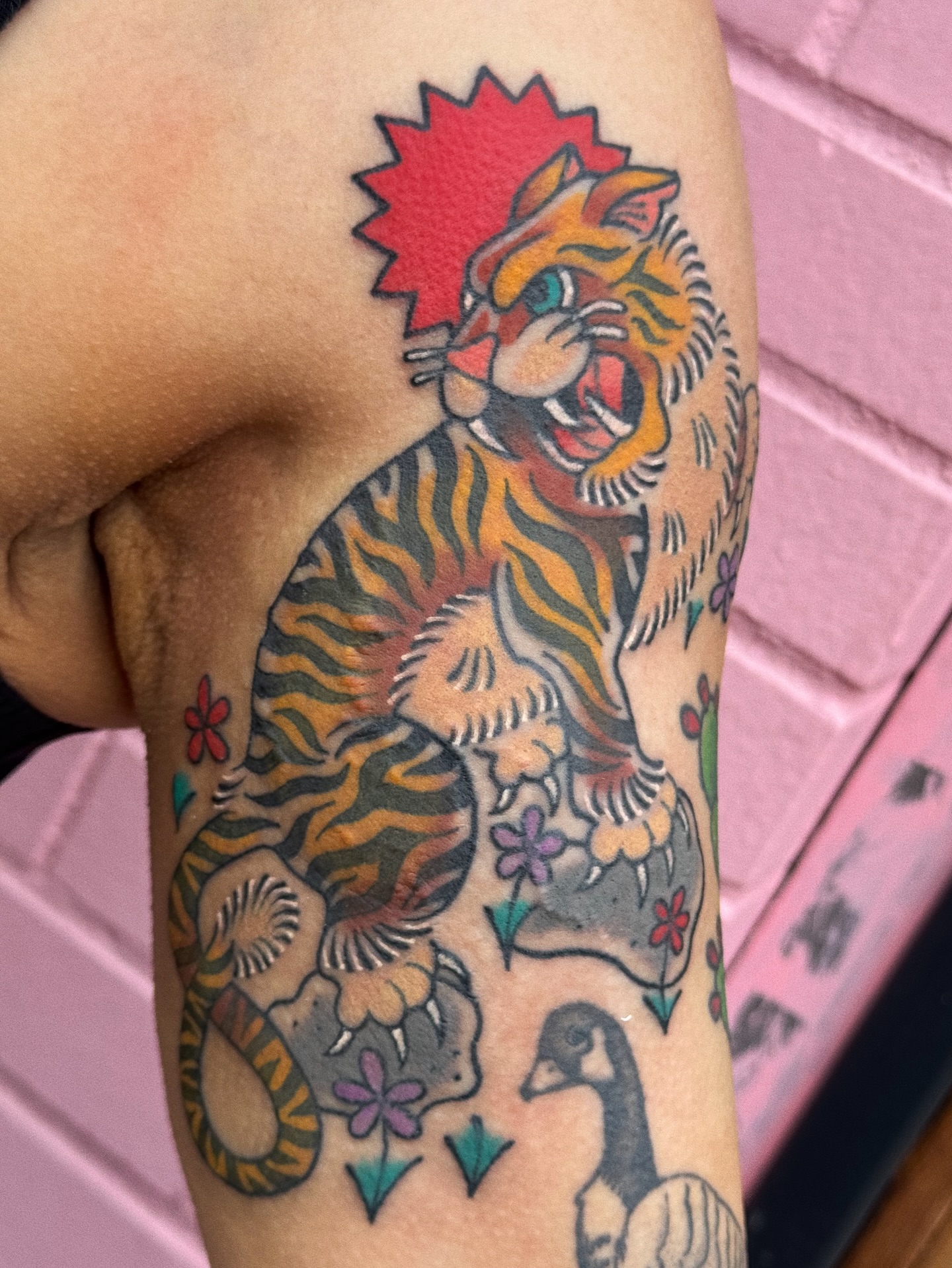 Tiger and flowers American traditional tattoo on the forearm by 𝕷𝖆𝖚𝖗 𝕷𝖆𝖚𝖗