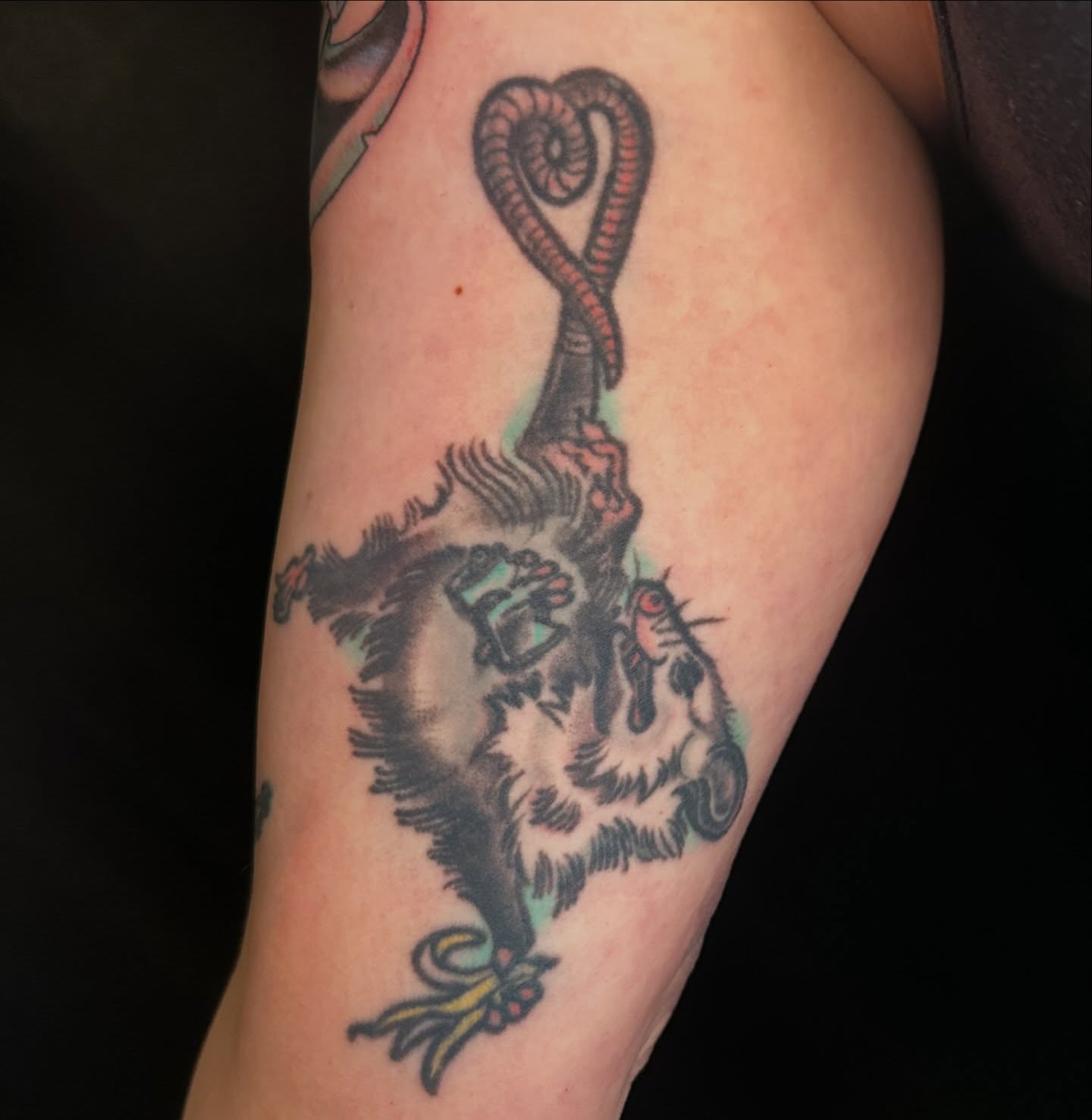 Tattoo by @callme.tvulture — american_traditional