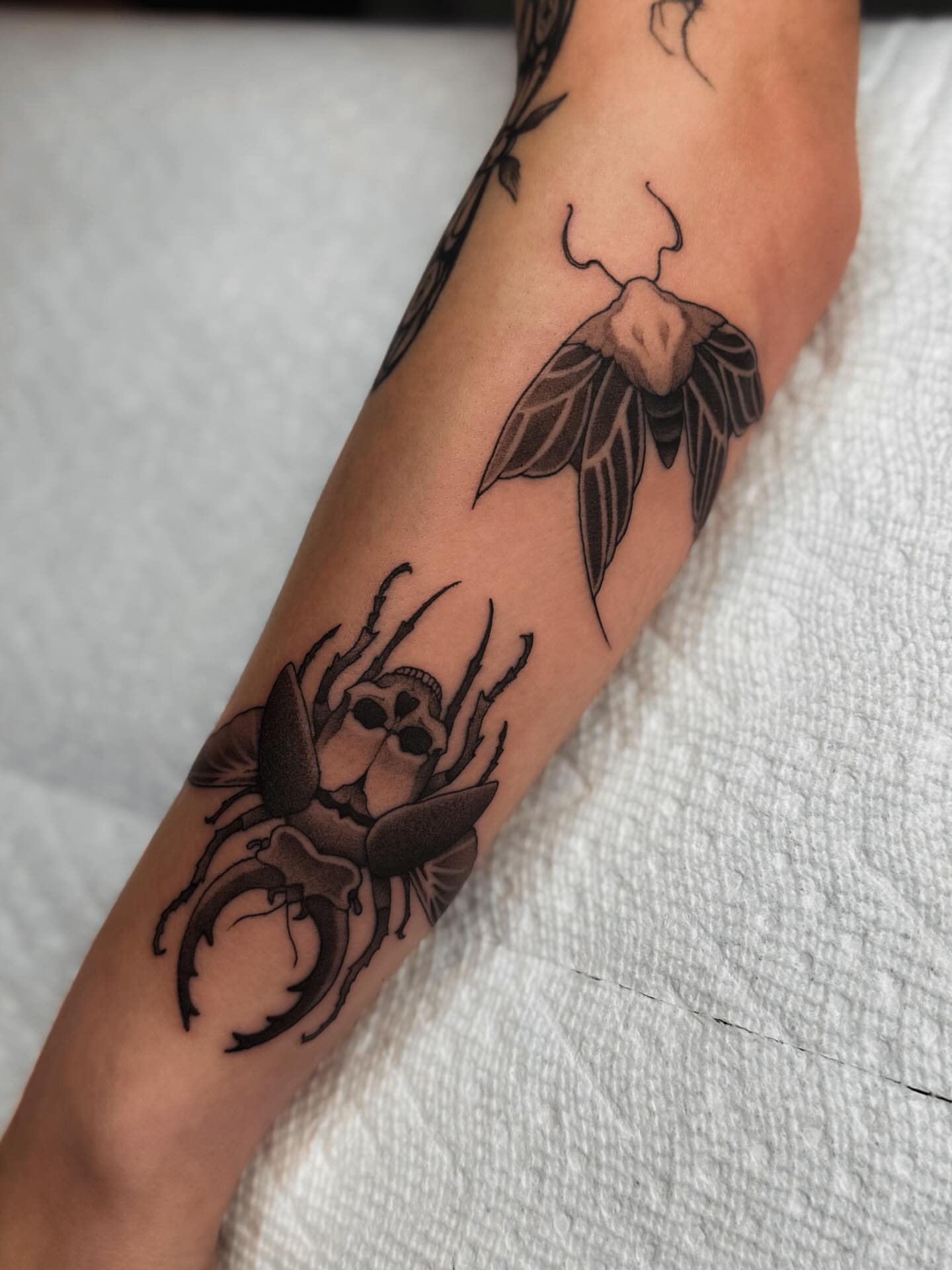 Insect and skull black and grey tattoo on the forearm by 𝔍𝔞𝔯𝔢𝔡 𝔞𝔩𝔩𝔢𝔫