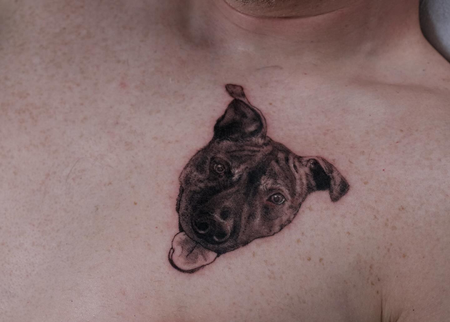 Dog head realism tattoo on the chest by Dylan Coverdale
