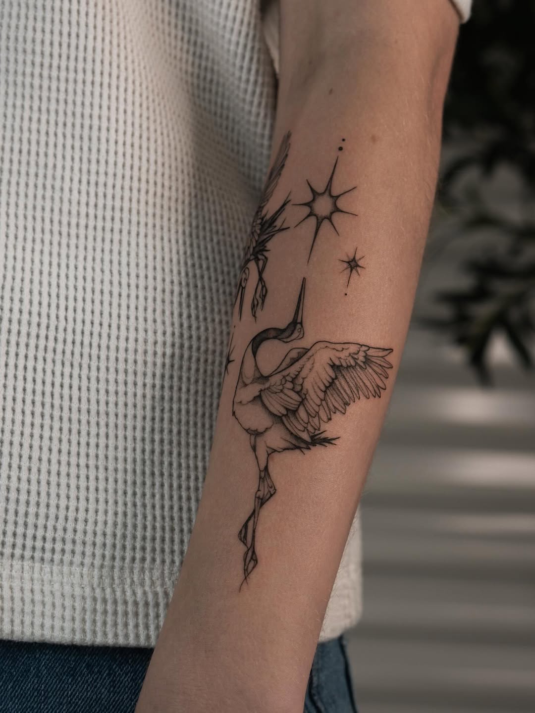 Tattoo by @ternotattoo — fine_line, black_and_grey