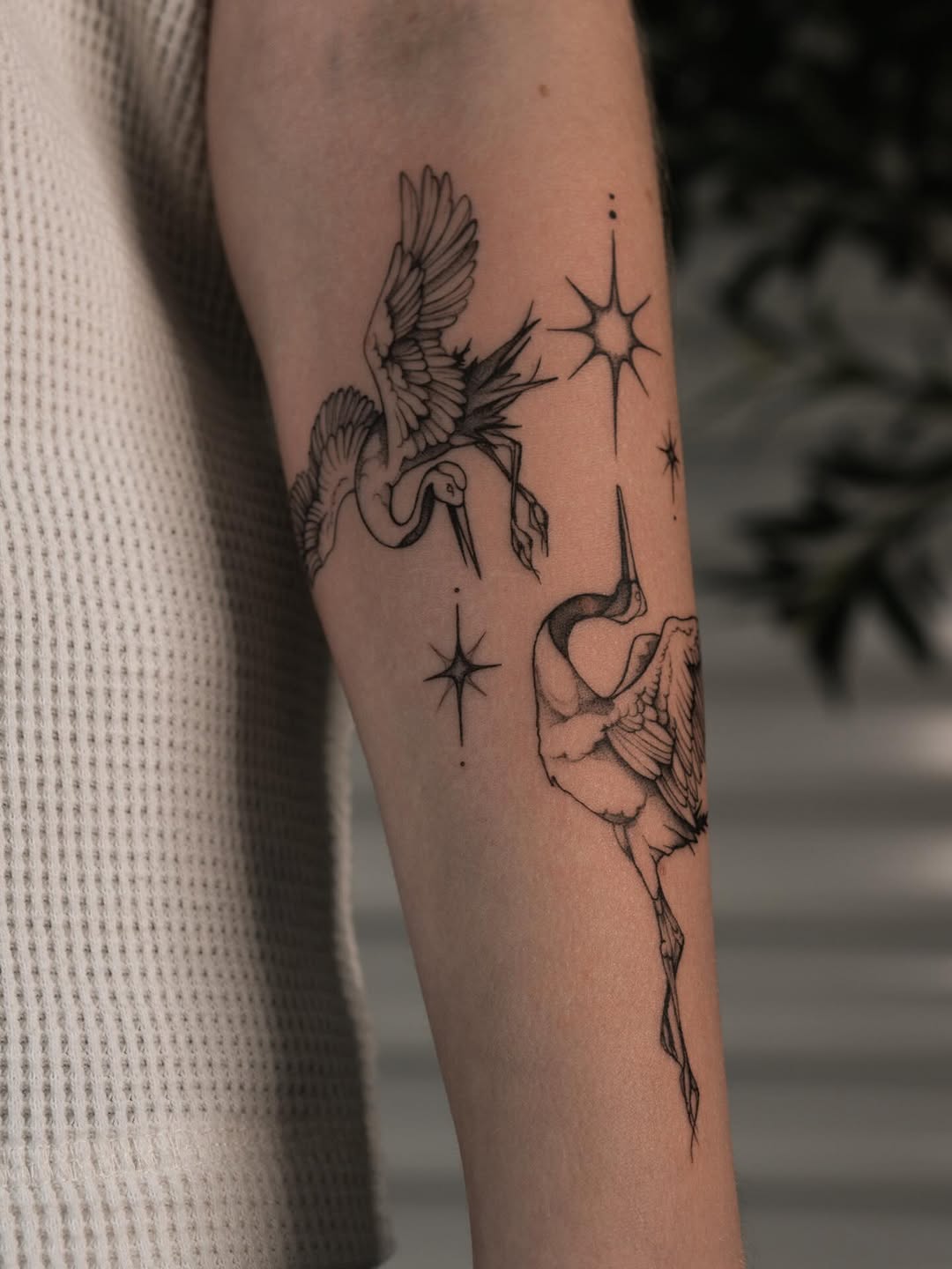 Tattoo by @ternotattoo — fine_line, black_and_grey