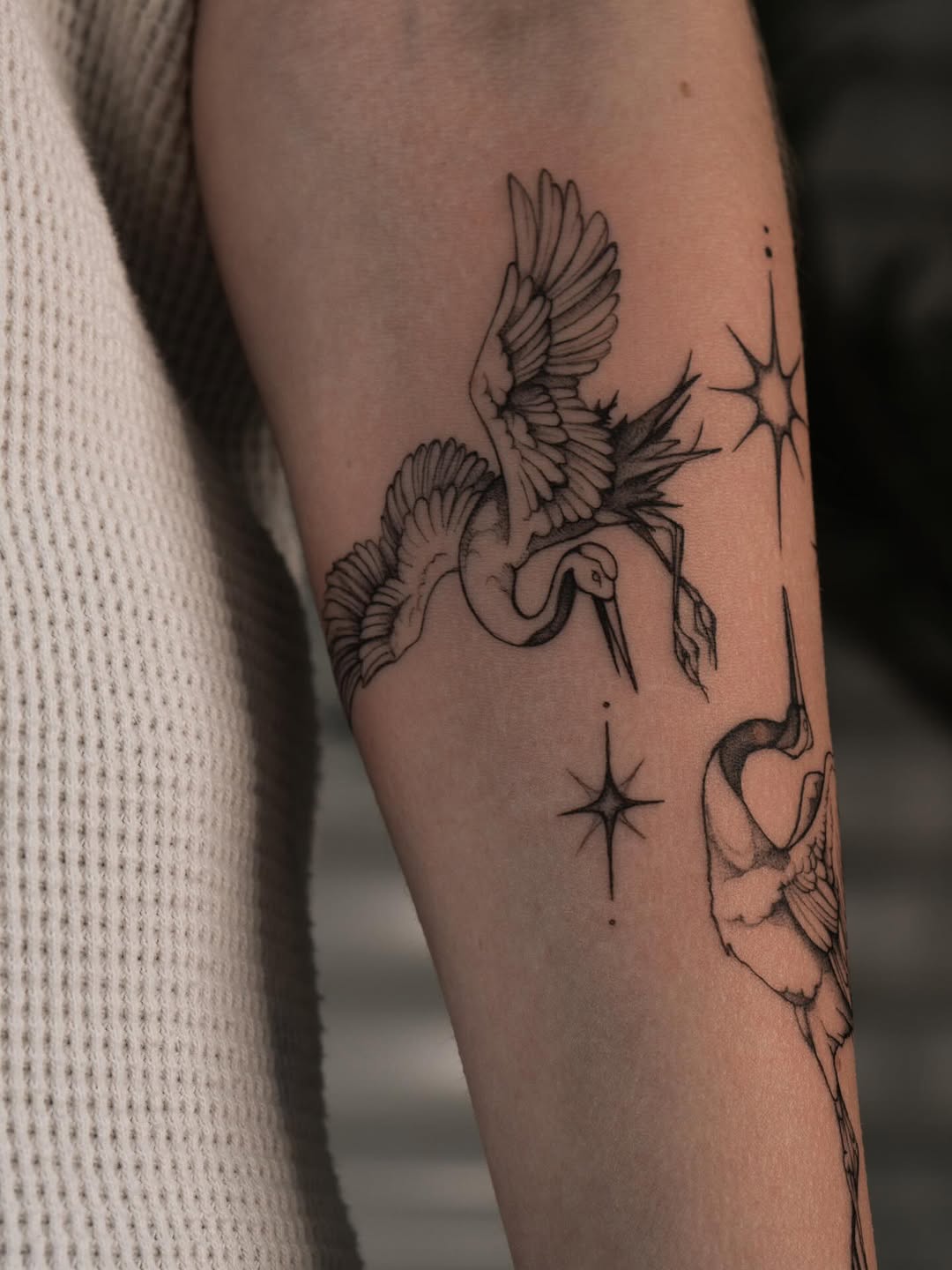 Tattoo by @ternotattoo — fine_line, black_and_grey