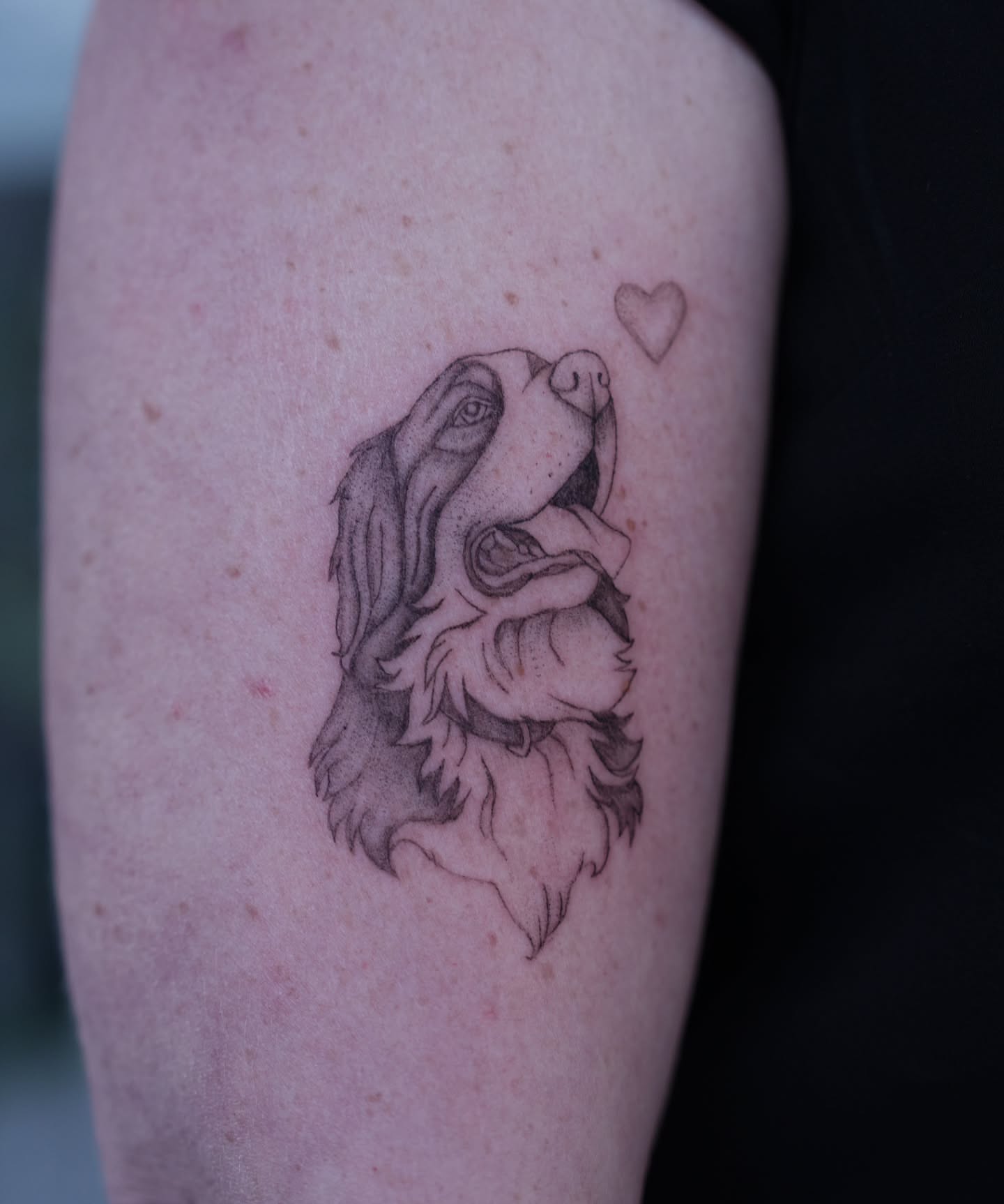 Dog dotwork tattoo on the forearm by Alex ▪︎ Tattoo Apprentice