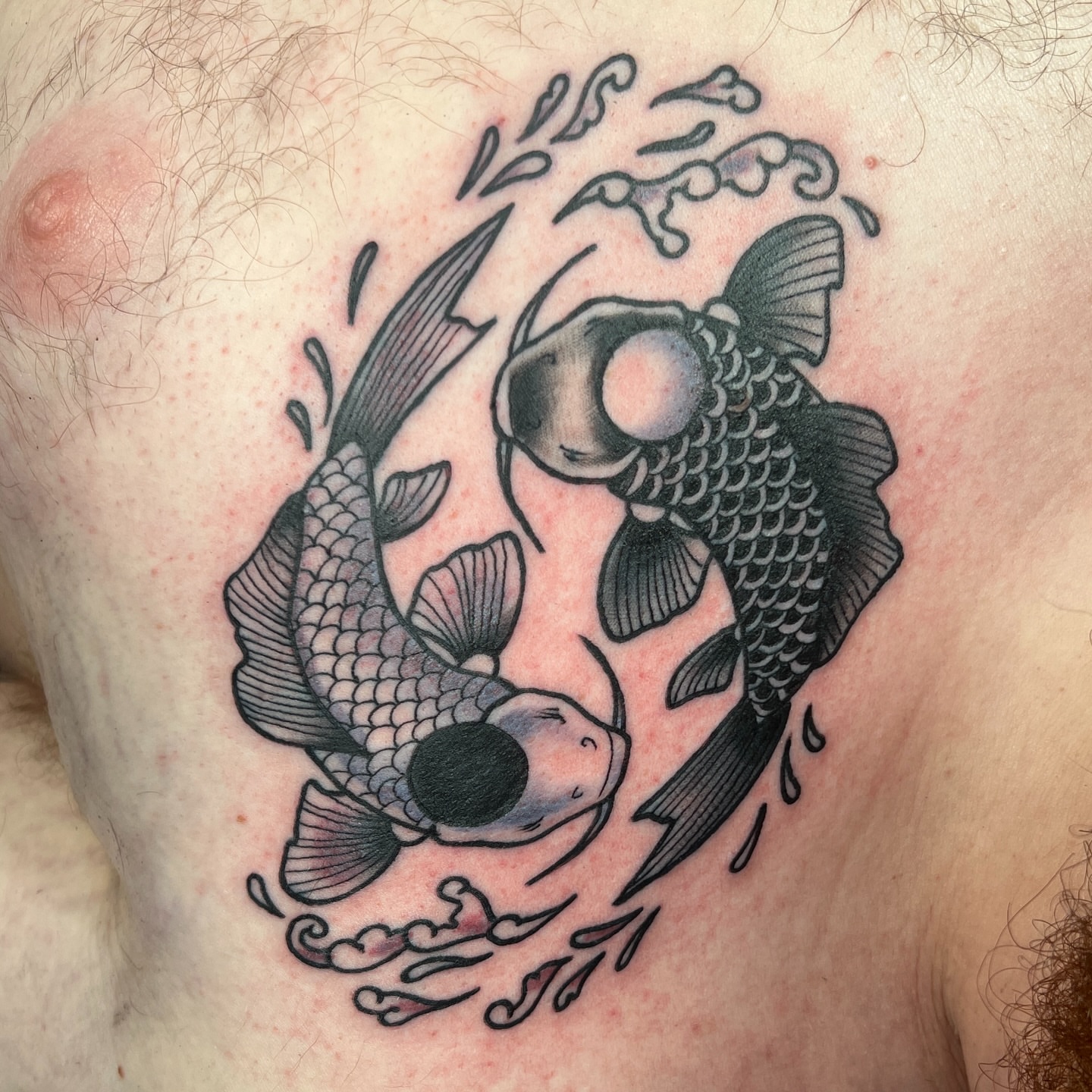 Koi fish black and grey tattoo on the chest by Brian Mock