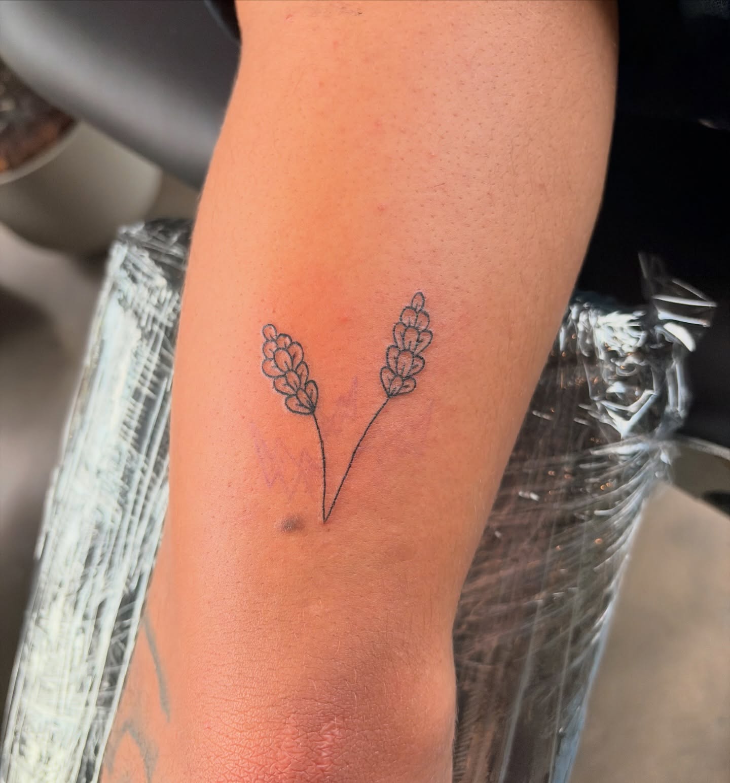Lavender black and grey tattoo on the forearm by Inky Birdz Tattoos