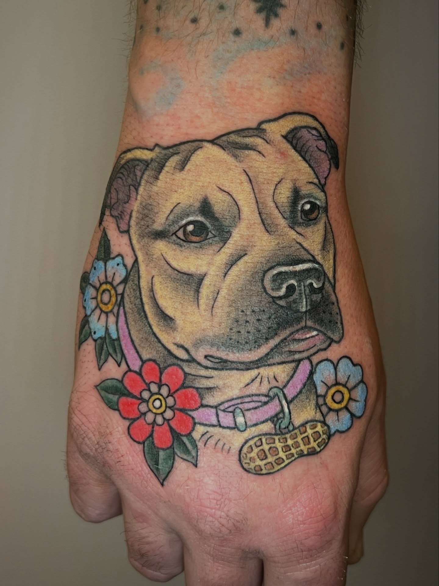 Pit bull dog American traditional tattoo on the hand by Tattoos by Shashonna - Portland Tattoo Artist