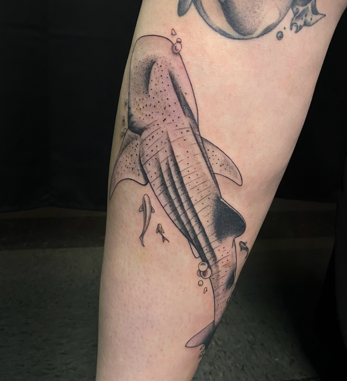 Tattoo by @gentledeviltattoo β dotwork, realism