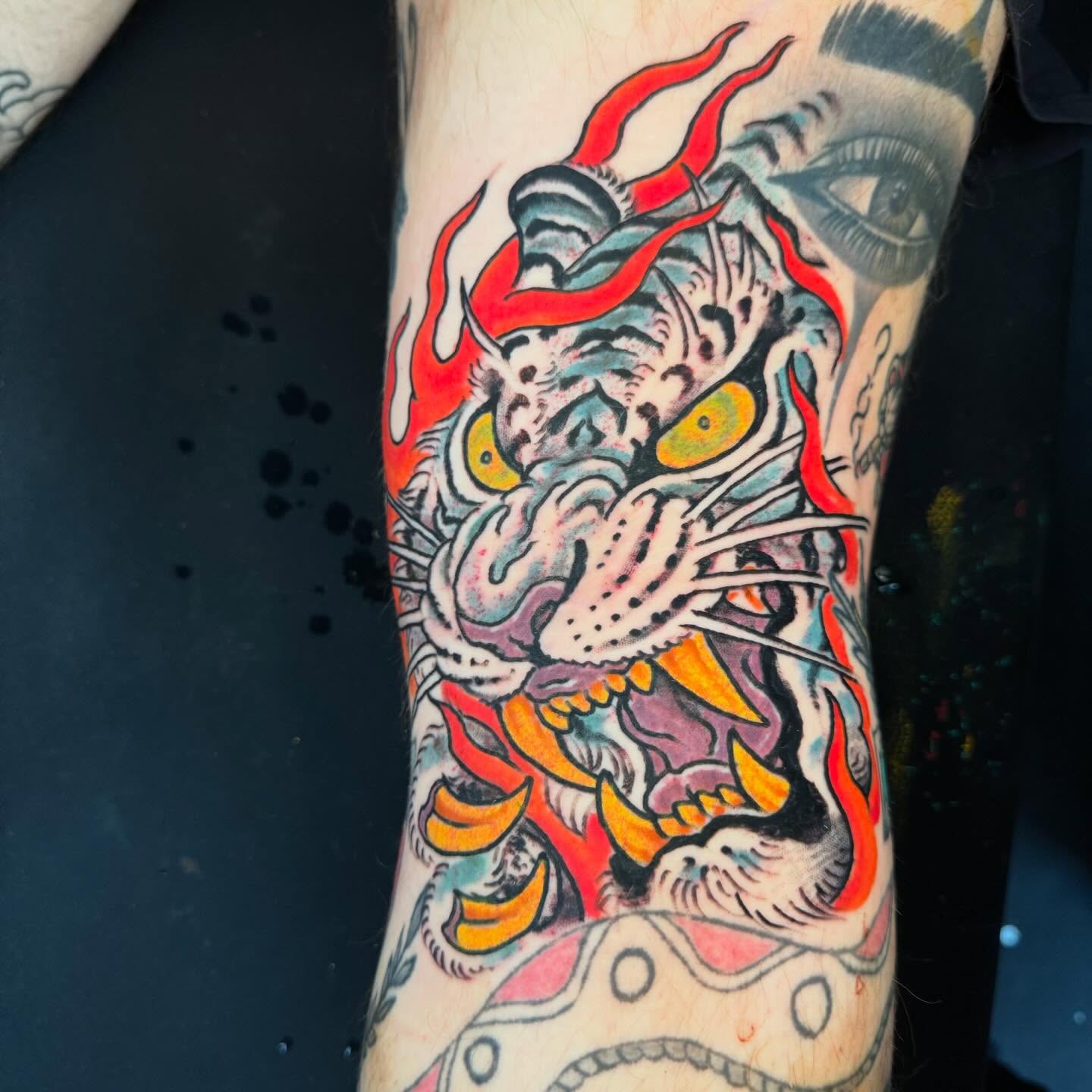 Tiger American traditional tattoo on the forearm by Tim Lehi, Oakland, California