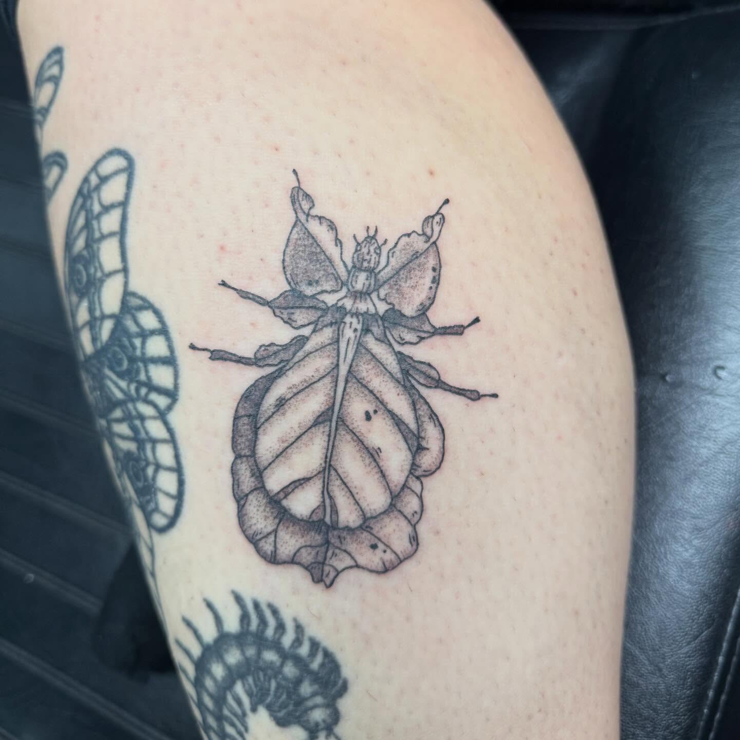 Insect dotwork tattoo on the thigh by Elena