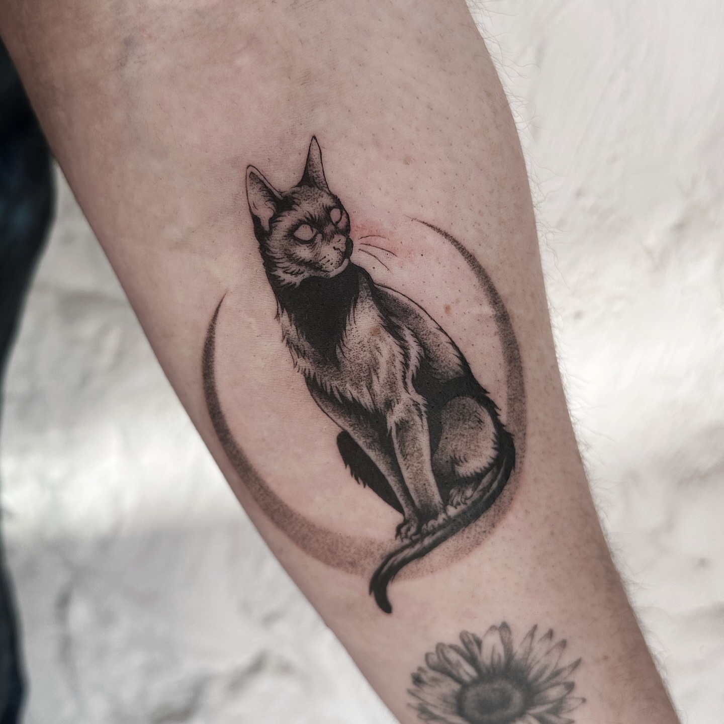 Cat dotwork tattoo on the forearm by Micky, Austin, Texas