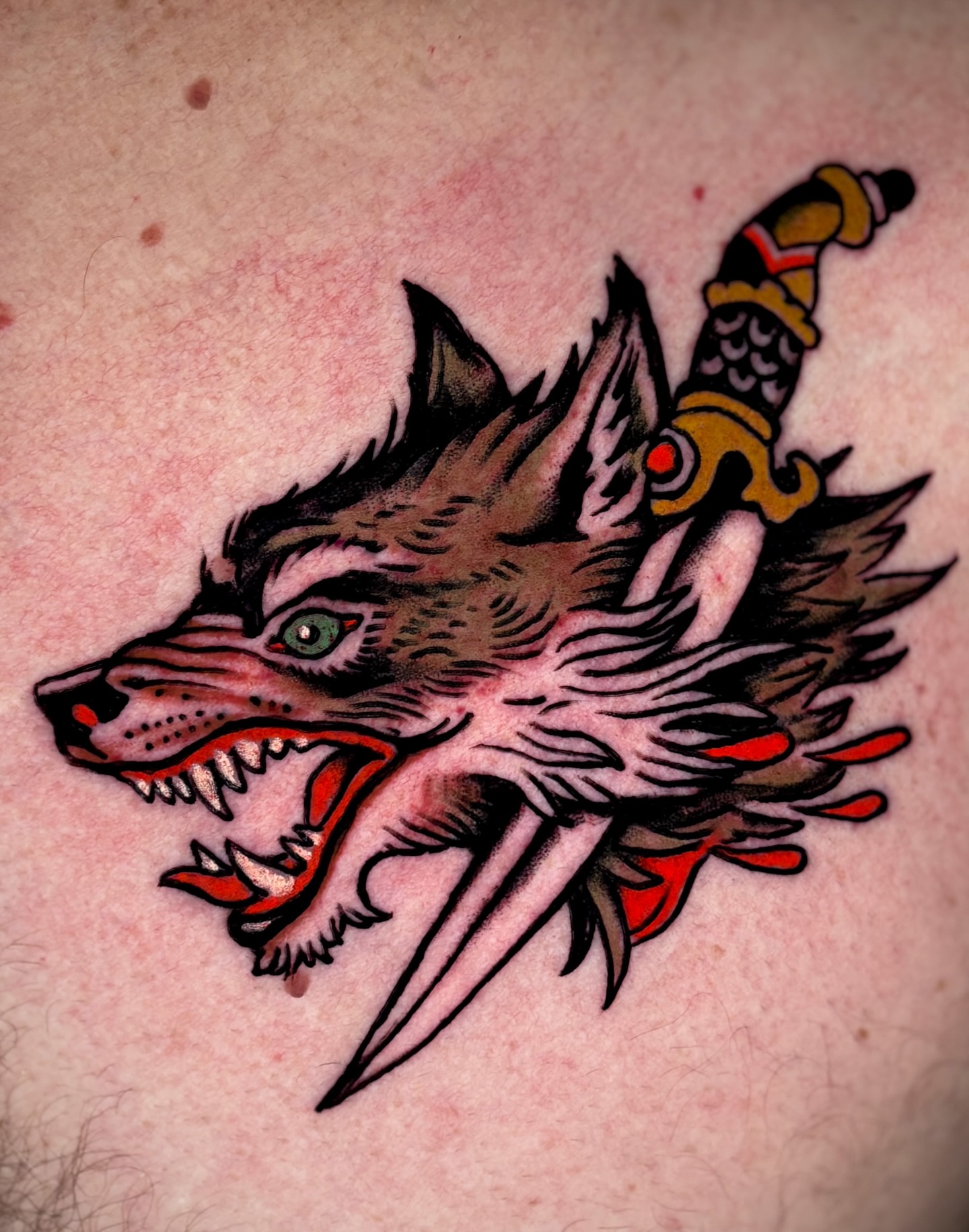 Wolf head with dagger American traditional tattoo by Weston Imhoff