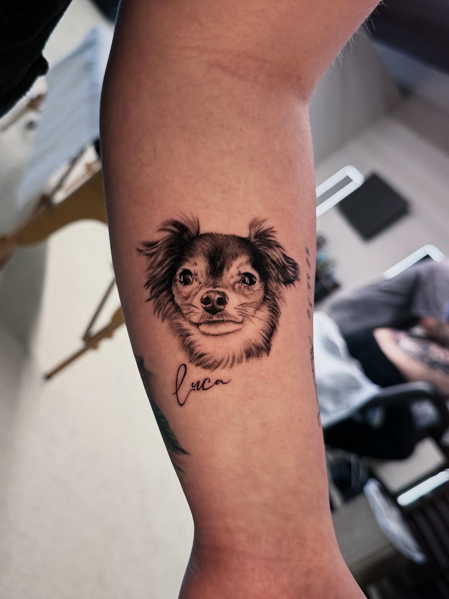 Dog realism tattoo on the forearm by Kelsey Zussman