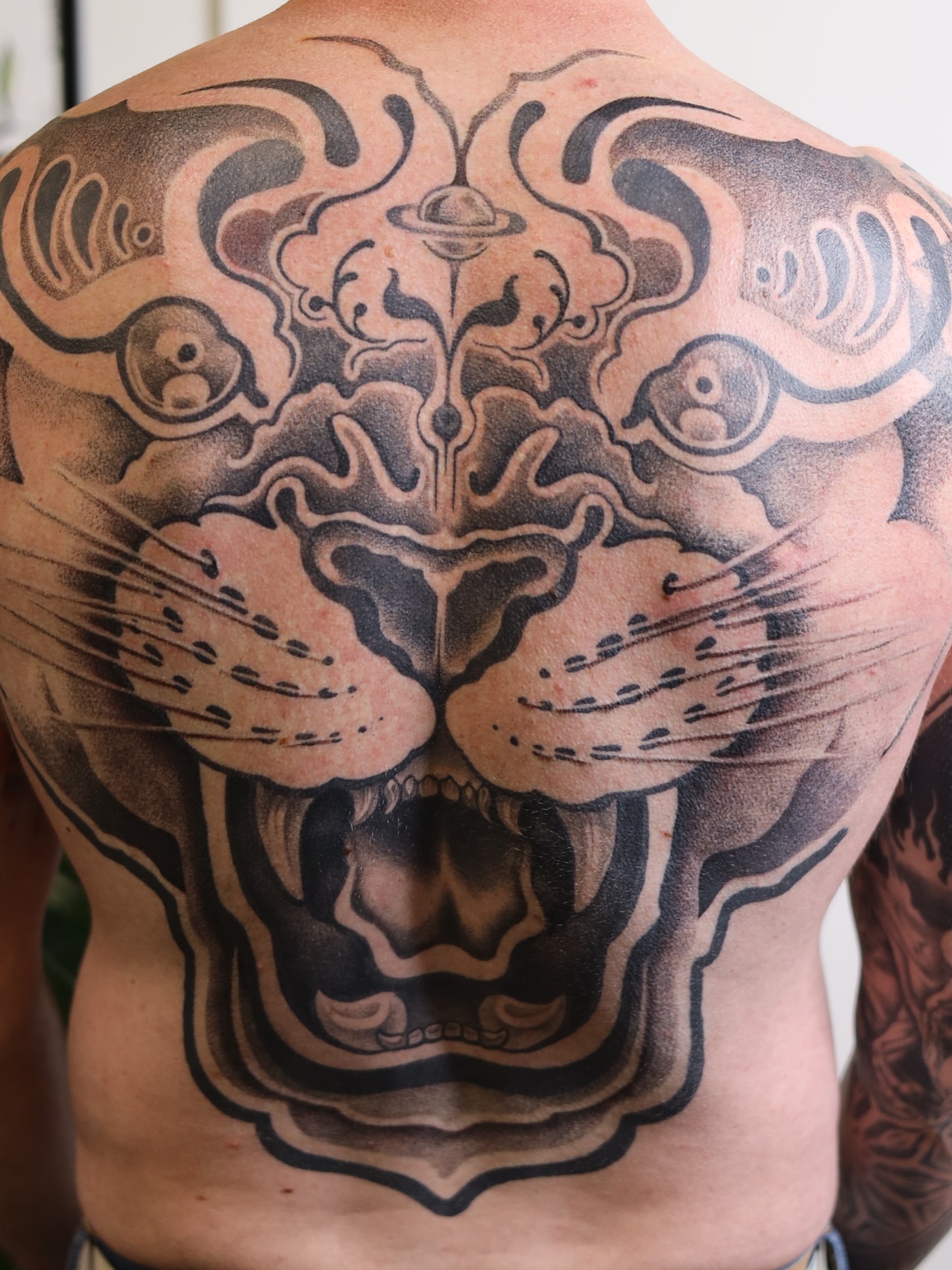 Tiger American traditional tattoo on the back by Caleb Ortiz