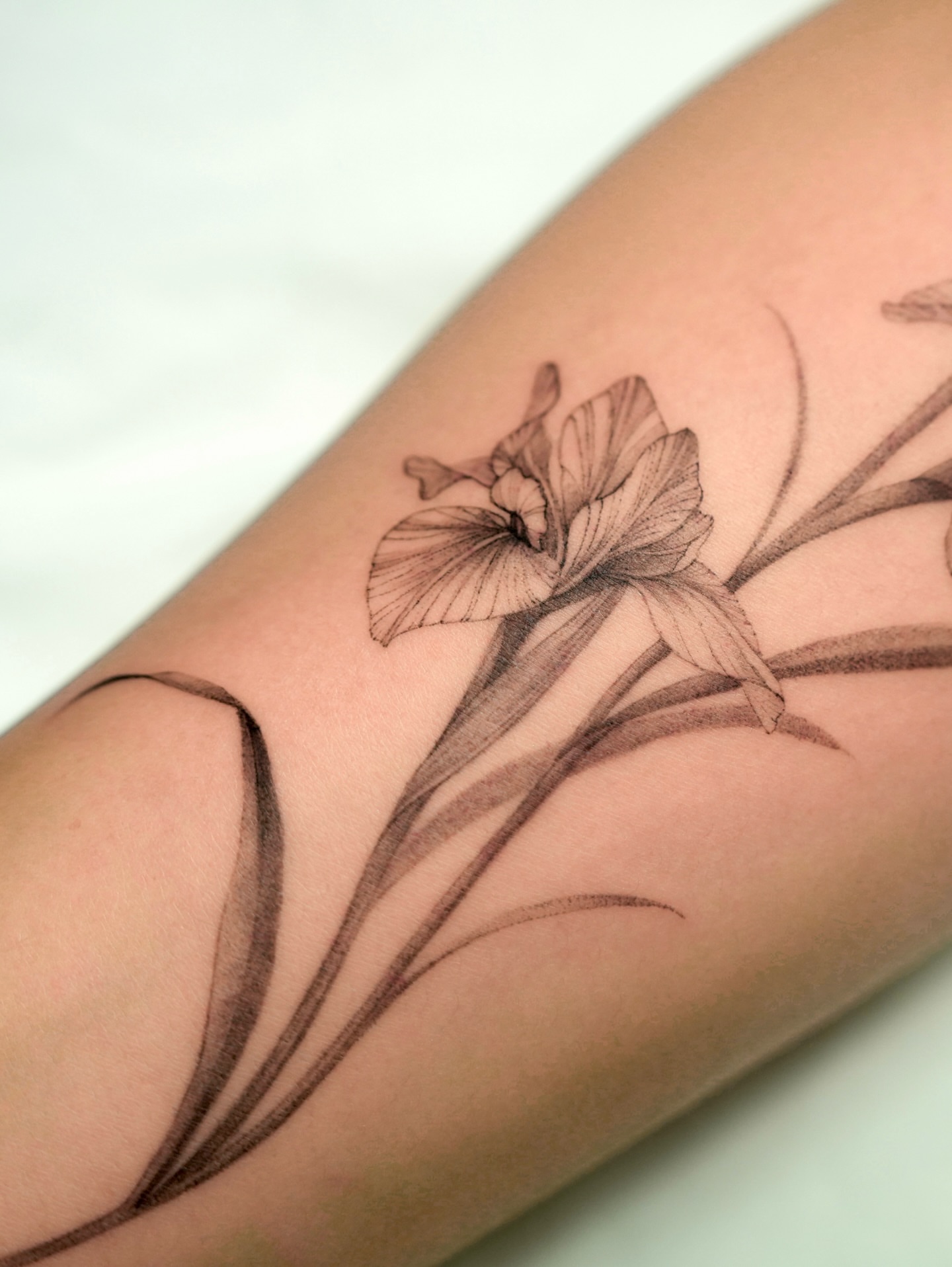 Tattoo by @tattooist_gaon — black_and_grey