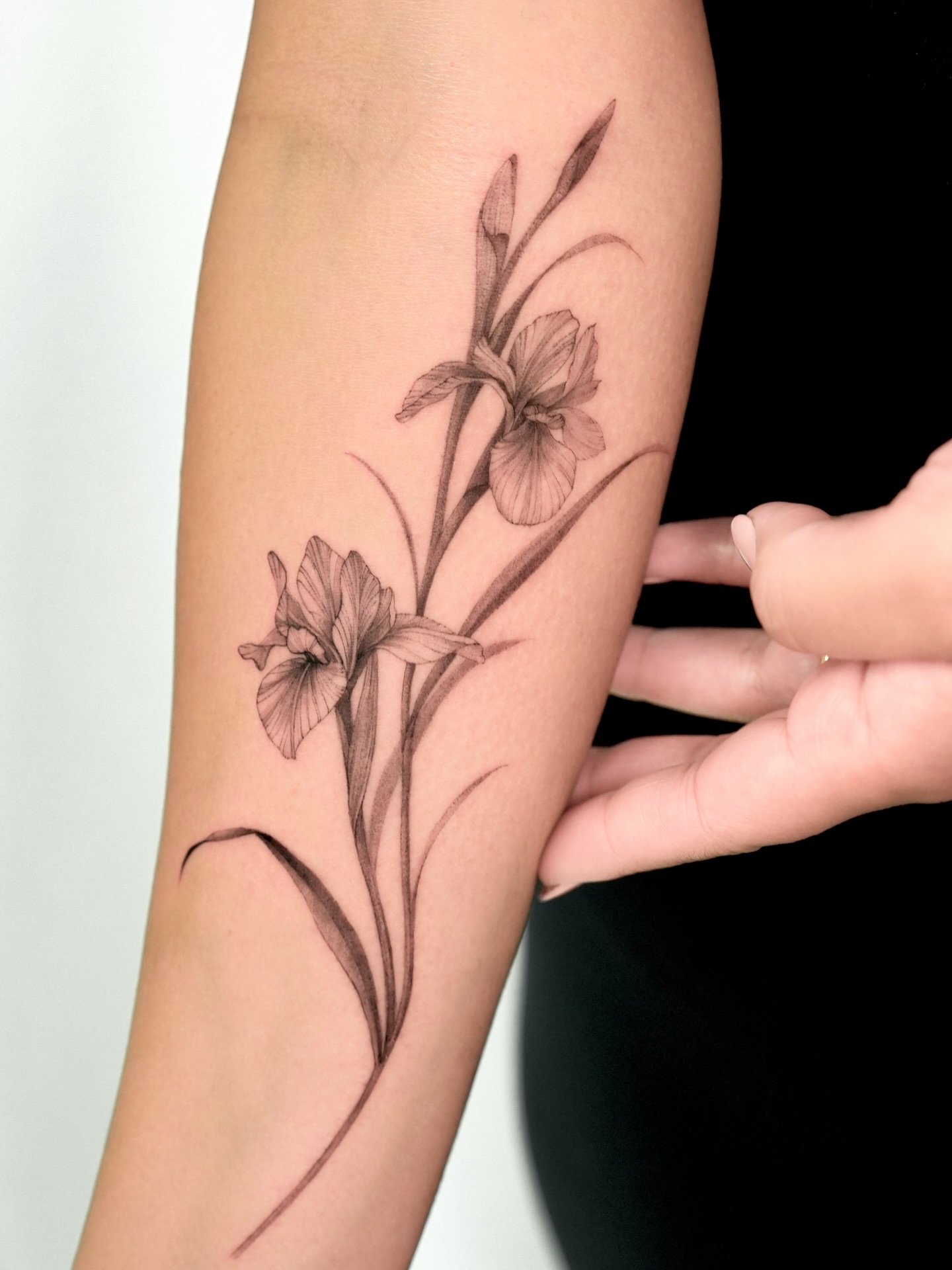 Flowers black and grey tattoo on the forearm by ⟡ 𝙶𝙰𝙾𝙽 ⟡ 제주타투 가온 Jejutattoo