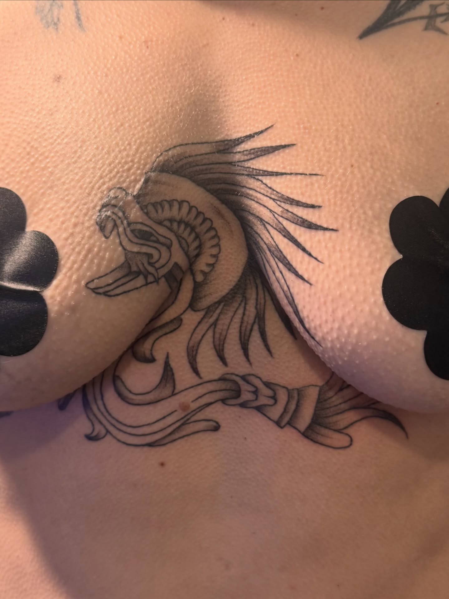Phoenix black and grey tattoo on the chest by Sam Padilla