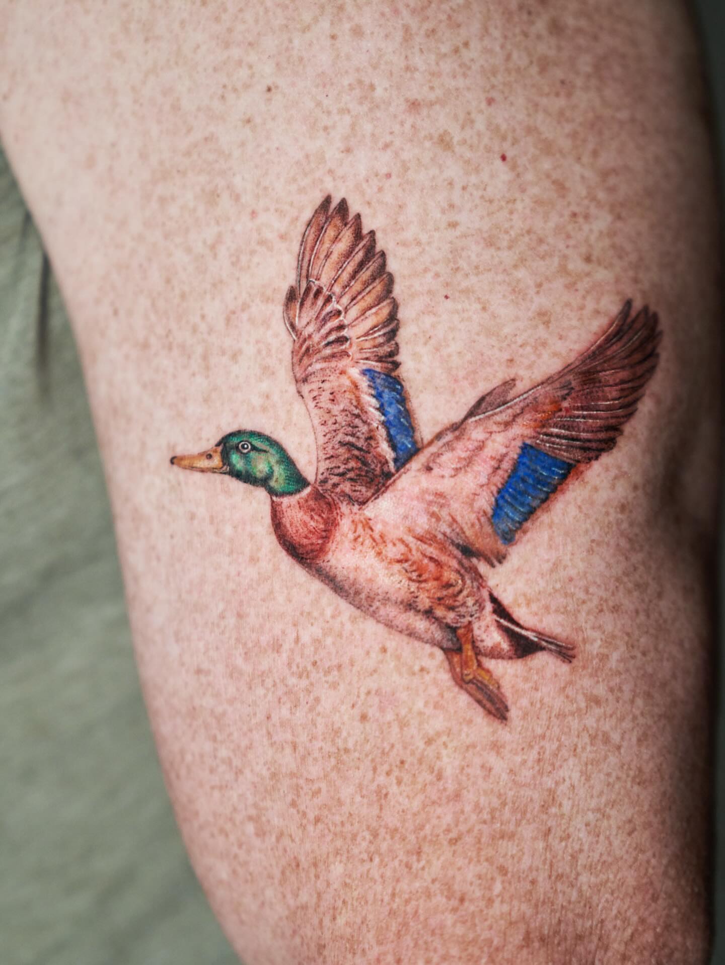 Mallard duck realism tattoo on the thigh by Tattoo artist LA ། Fine line, Micro realism