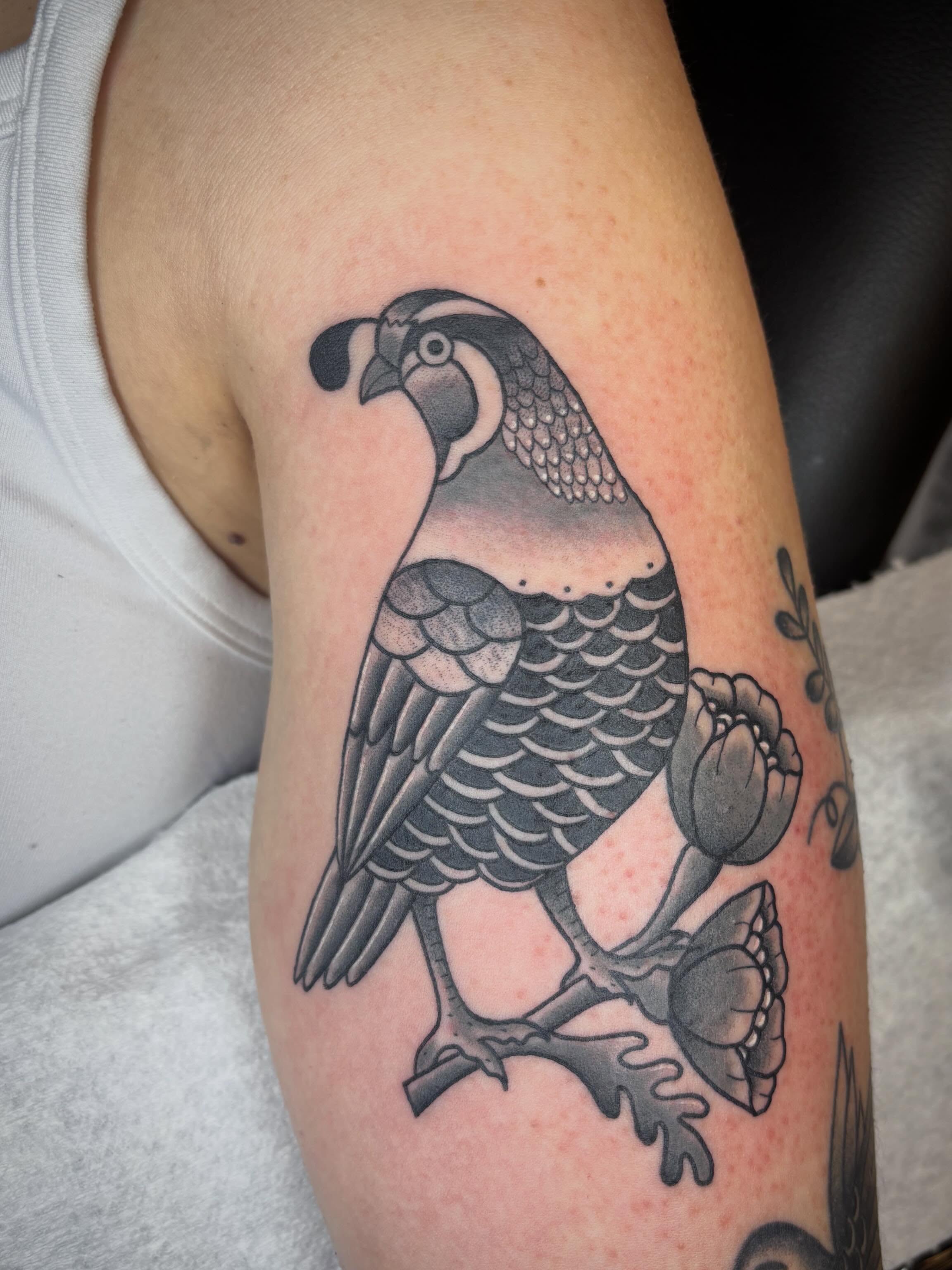 Parrot black and grey tattoo on the forearm by Malia Clark