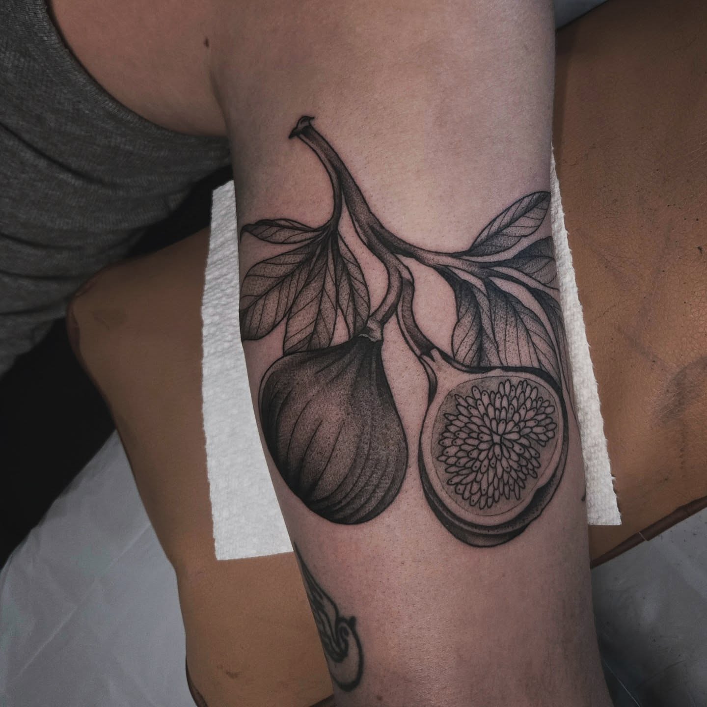 Figs black and grey tattoo on the forearm by Alexandra Colella ✨️