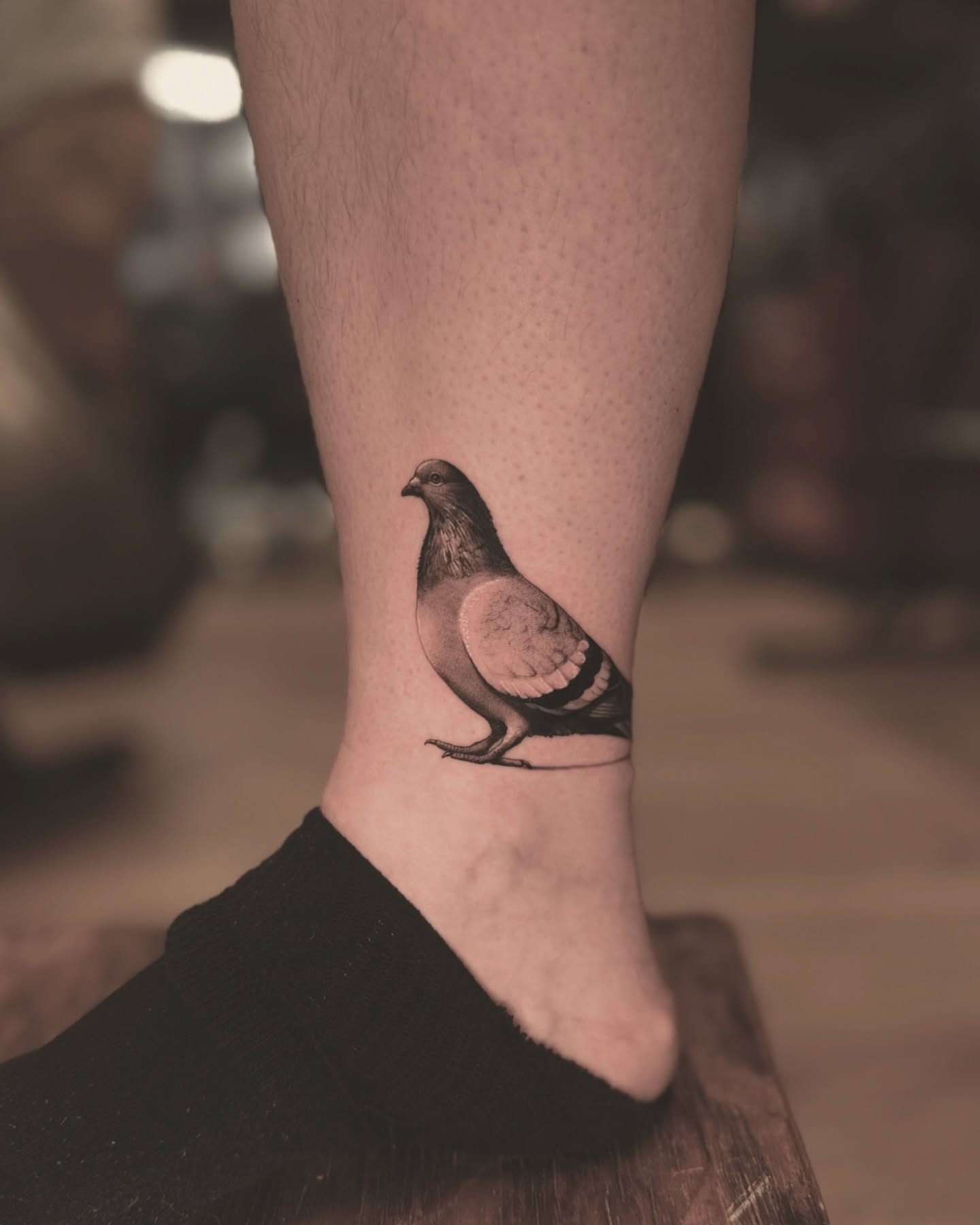 Pigeon realism tattoo on the calf by ๐
๐๐๐๐ณ๐ฎ๐ฆ๐ข ๐๐๐ญ๐ญ๐จ๐จs