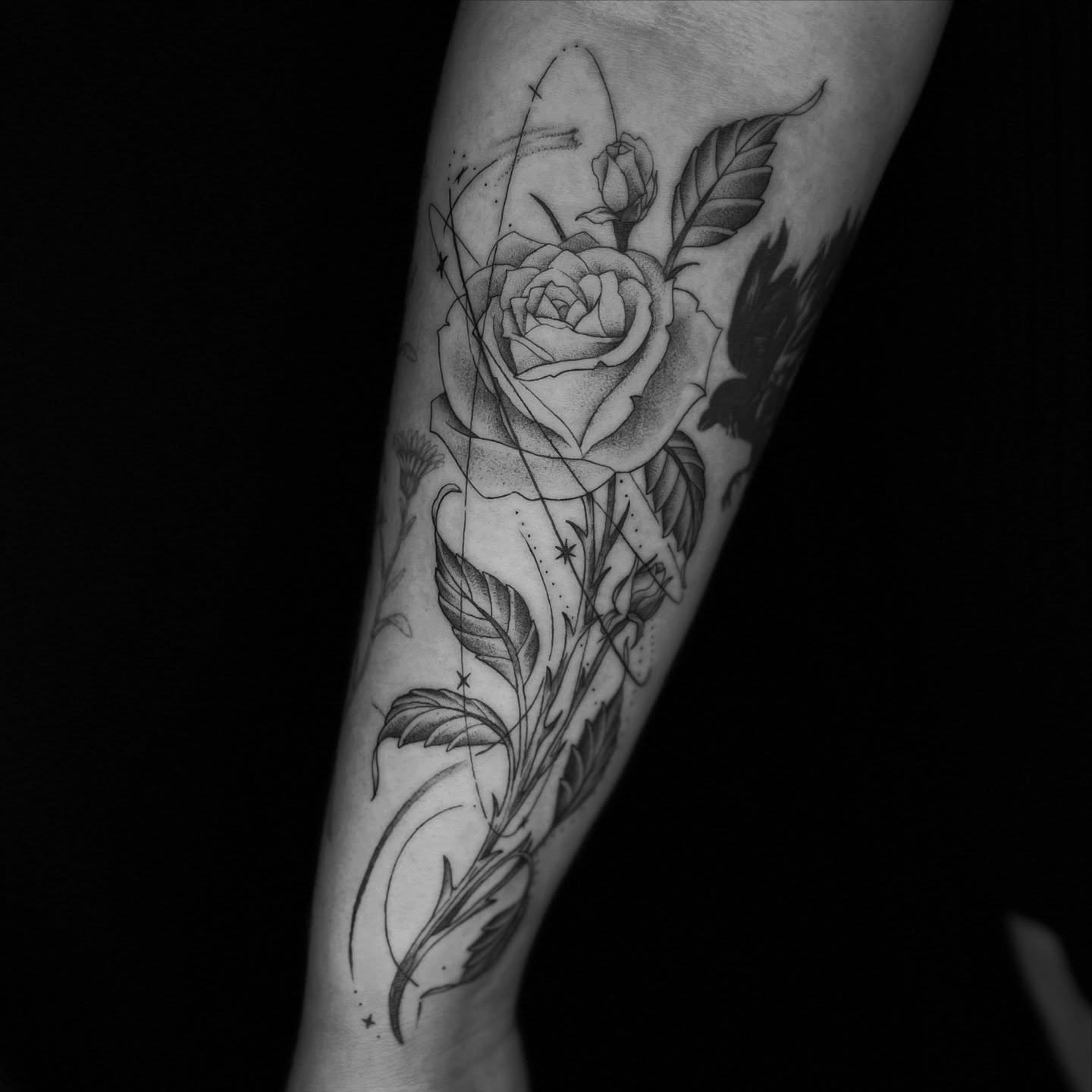 Rose black and grey tattoo on the forearm by Kait