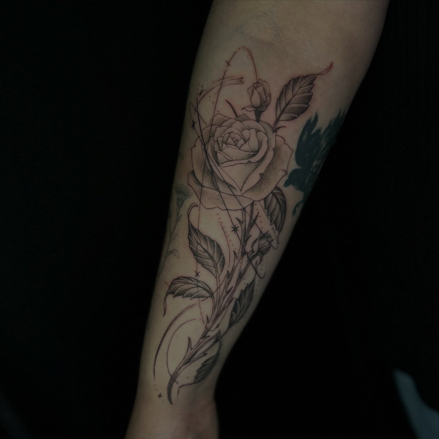 Rose realism tattoo on the forearm by Kait