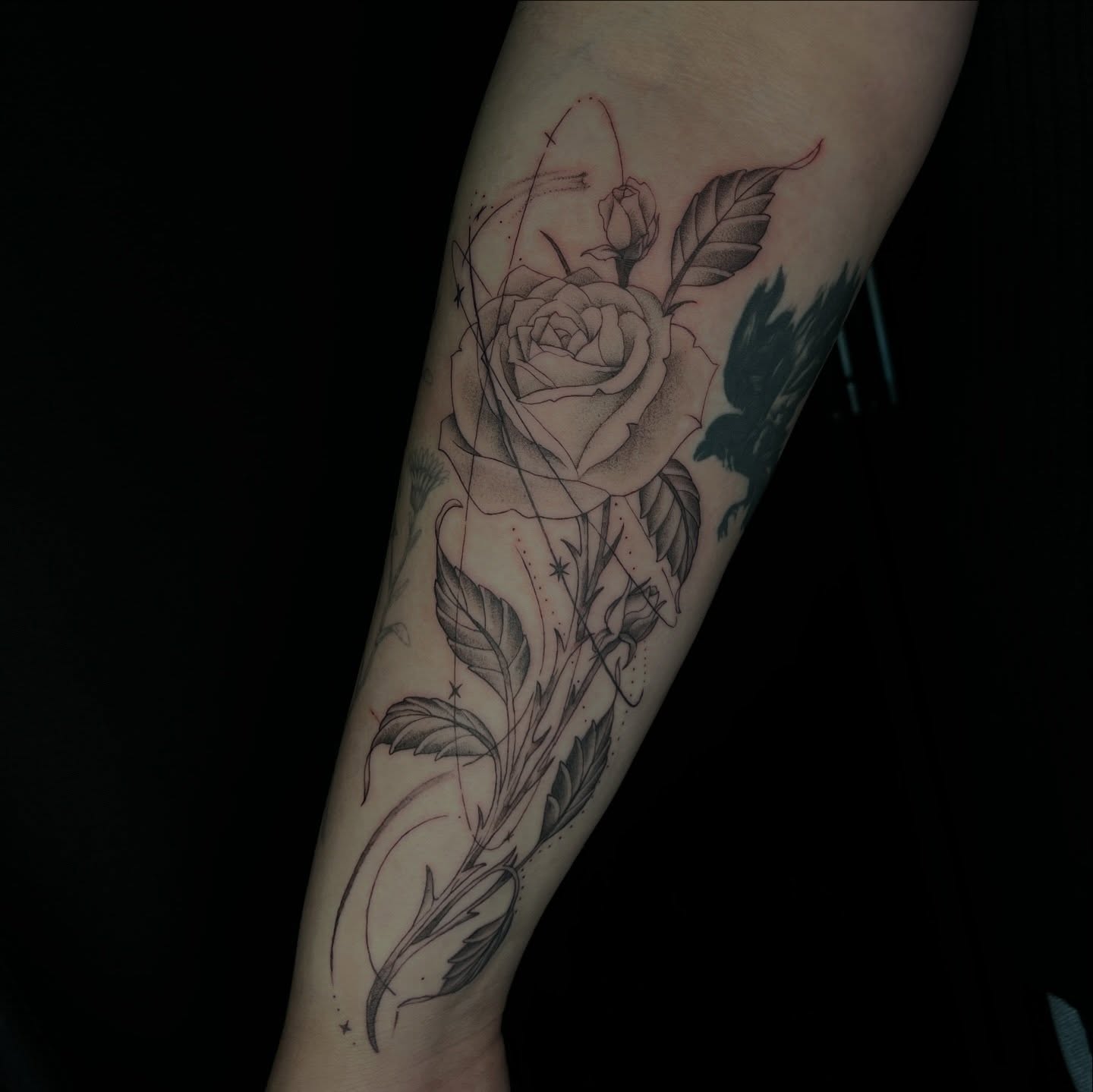 Rose black and grey tattoo on the forearm by Kait