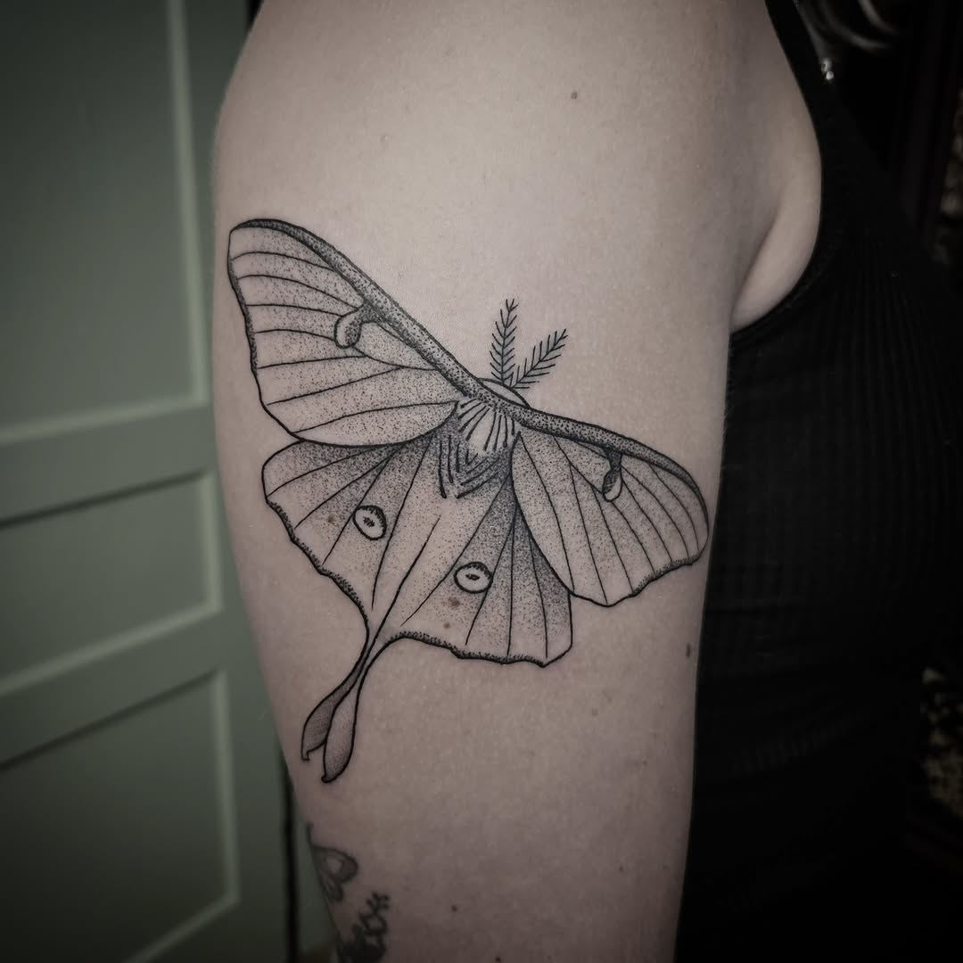 Tattoo by @killingjakob2 — dotwork, fine_line