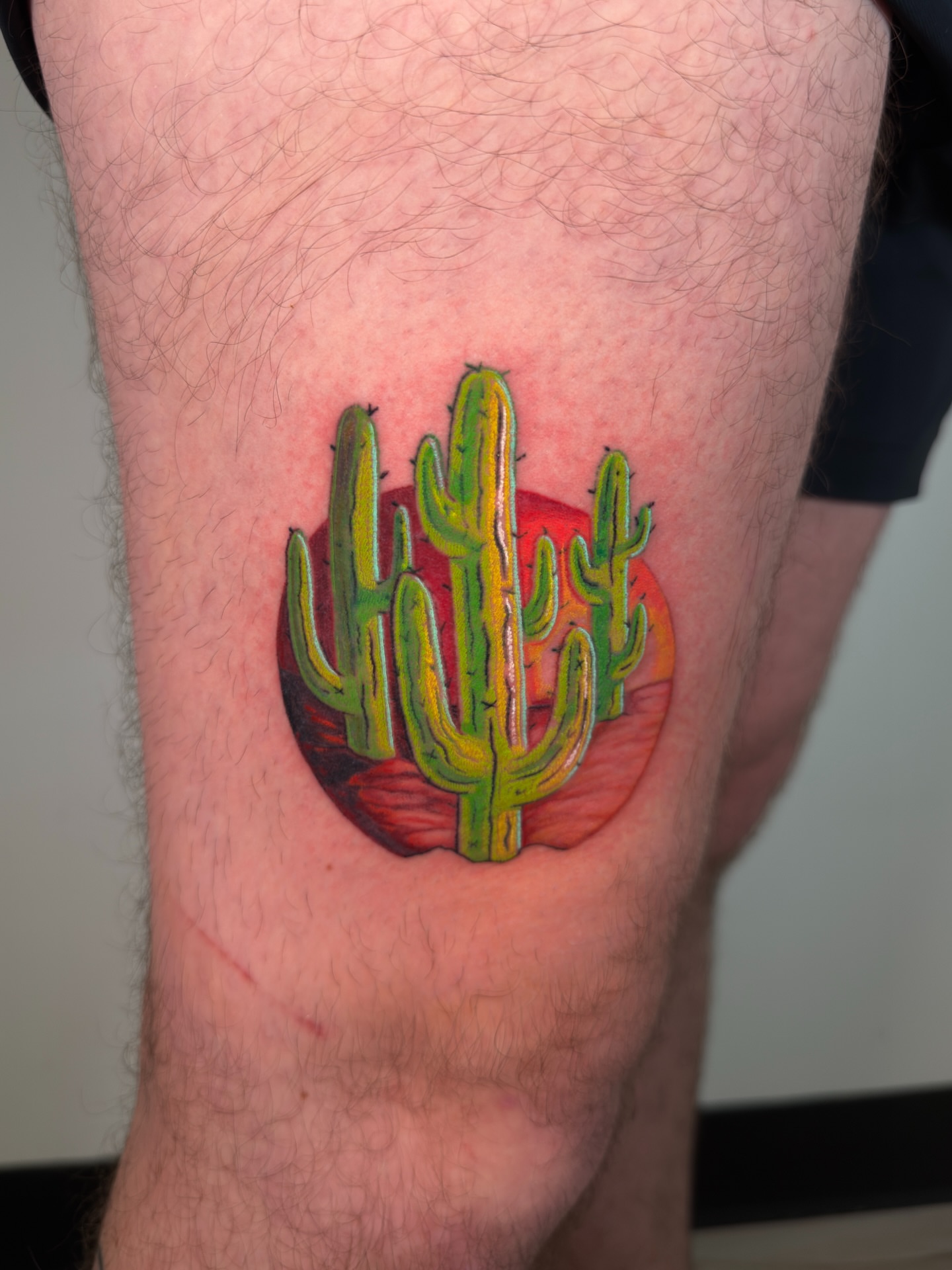 Cactus realism tattoo on the thigh by Diana