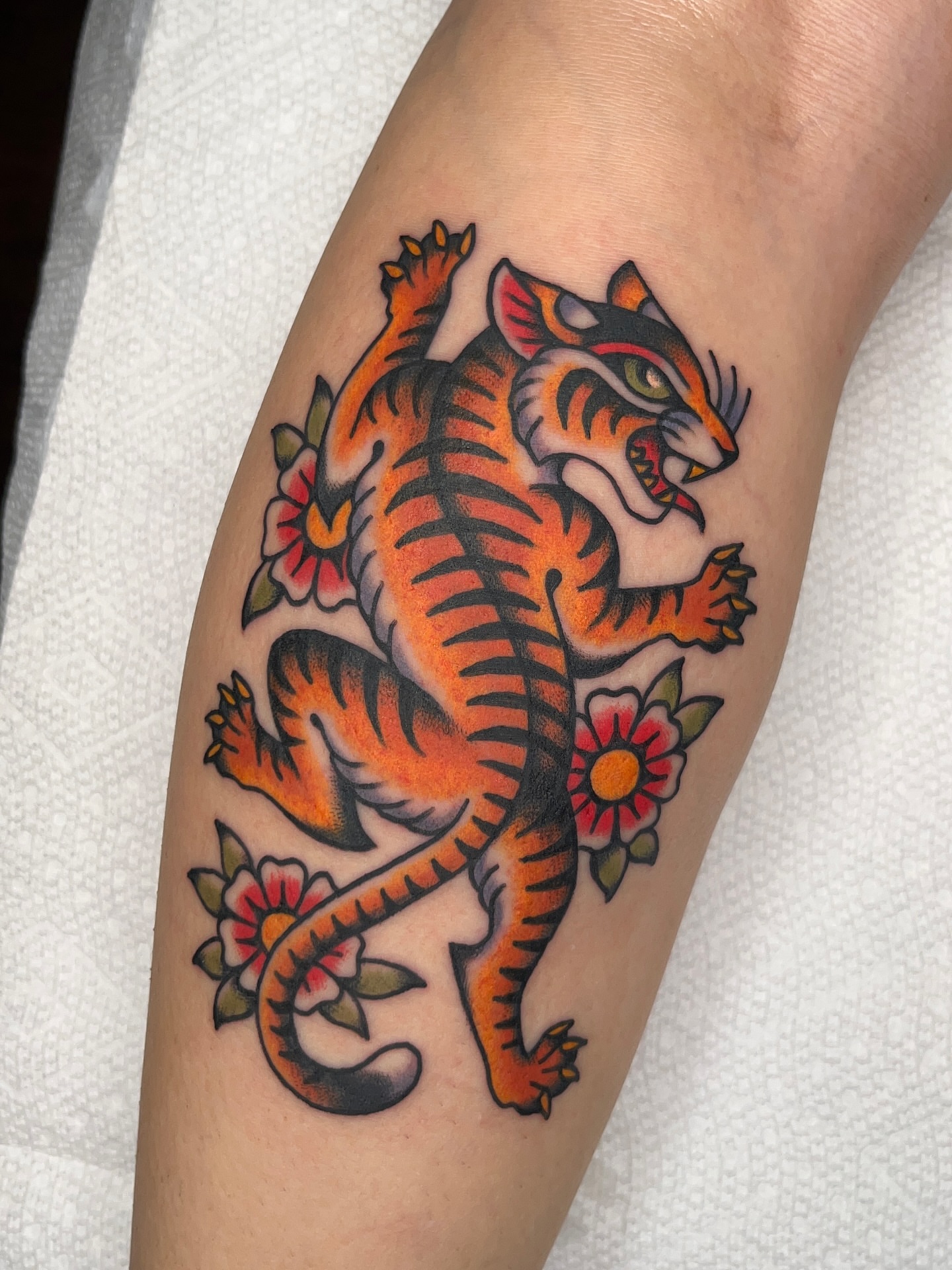 Tiger American traditional tattoo on the forearm by Nat Power
