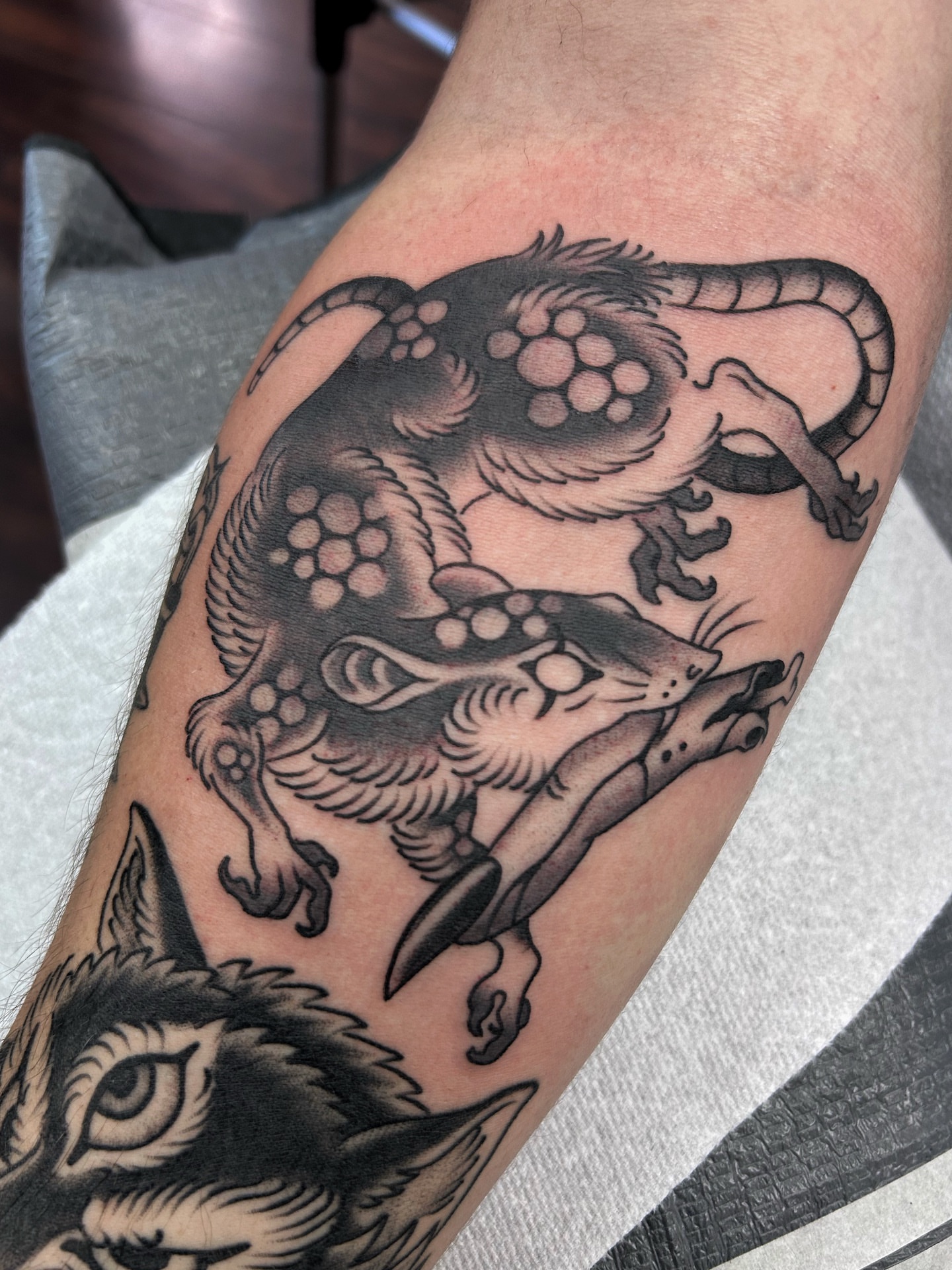 Mythical creature black and grey tattoo on the forearm by Jade McKenzie, Temecula, California