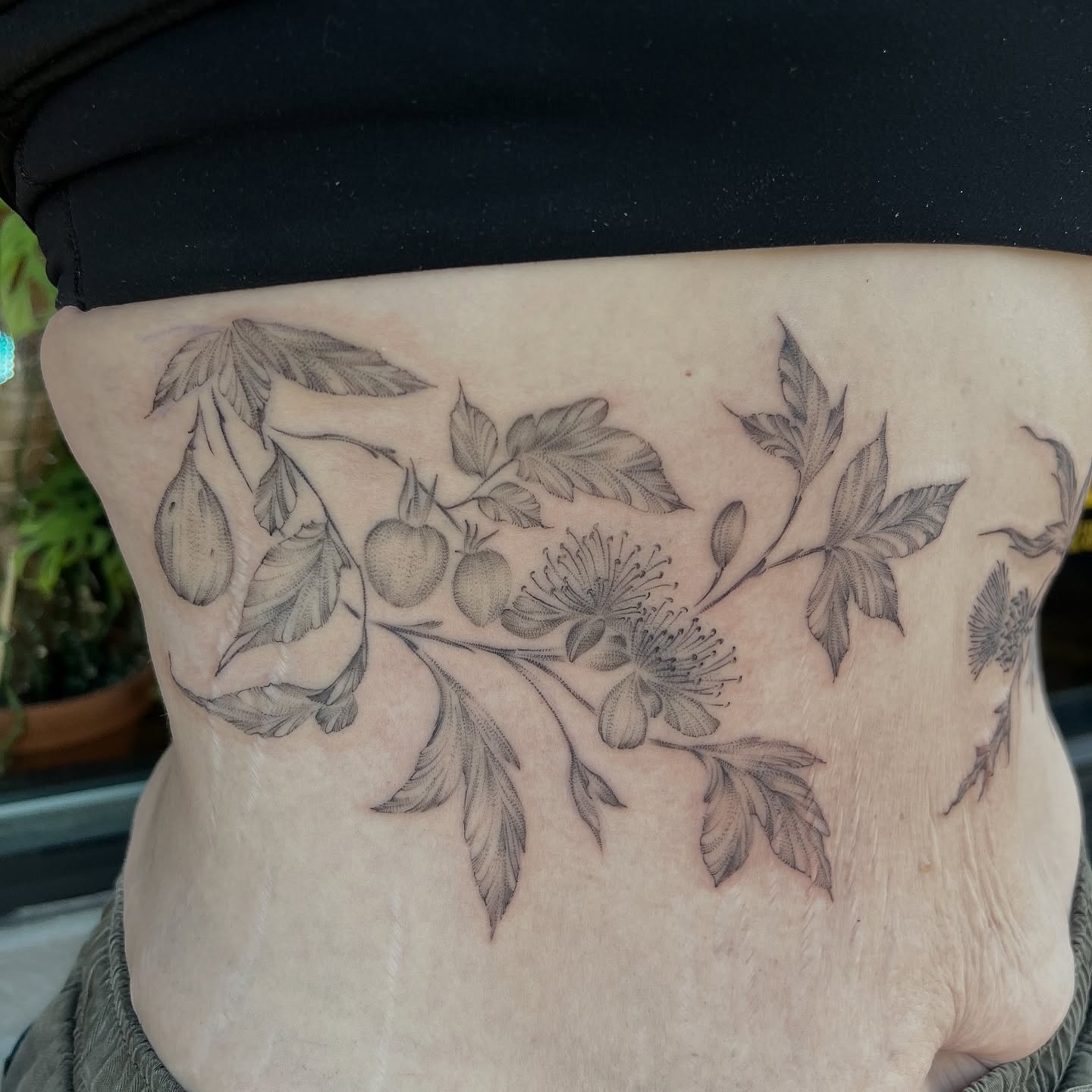 Botanical black and grey tattoo on the ribs by Jen Rahman