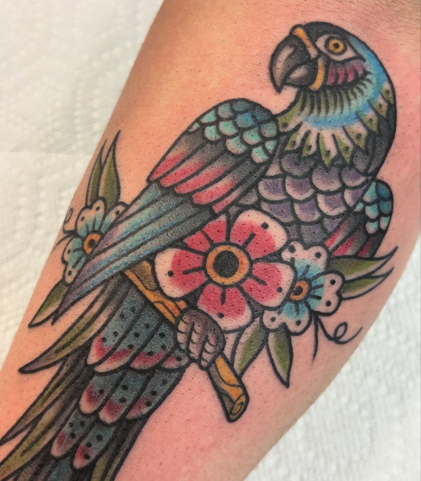 Parrot and flowers American traditional tattoo on the forearm by Genevieve Ehlers, Denver, Colorado