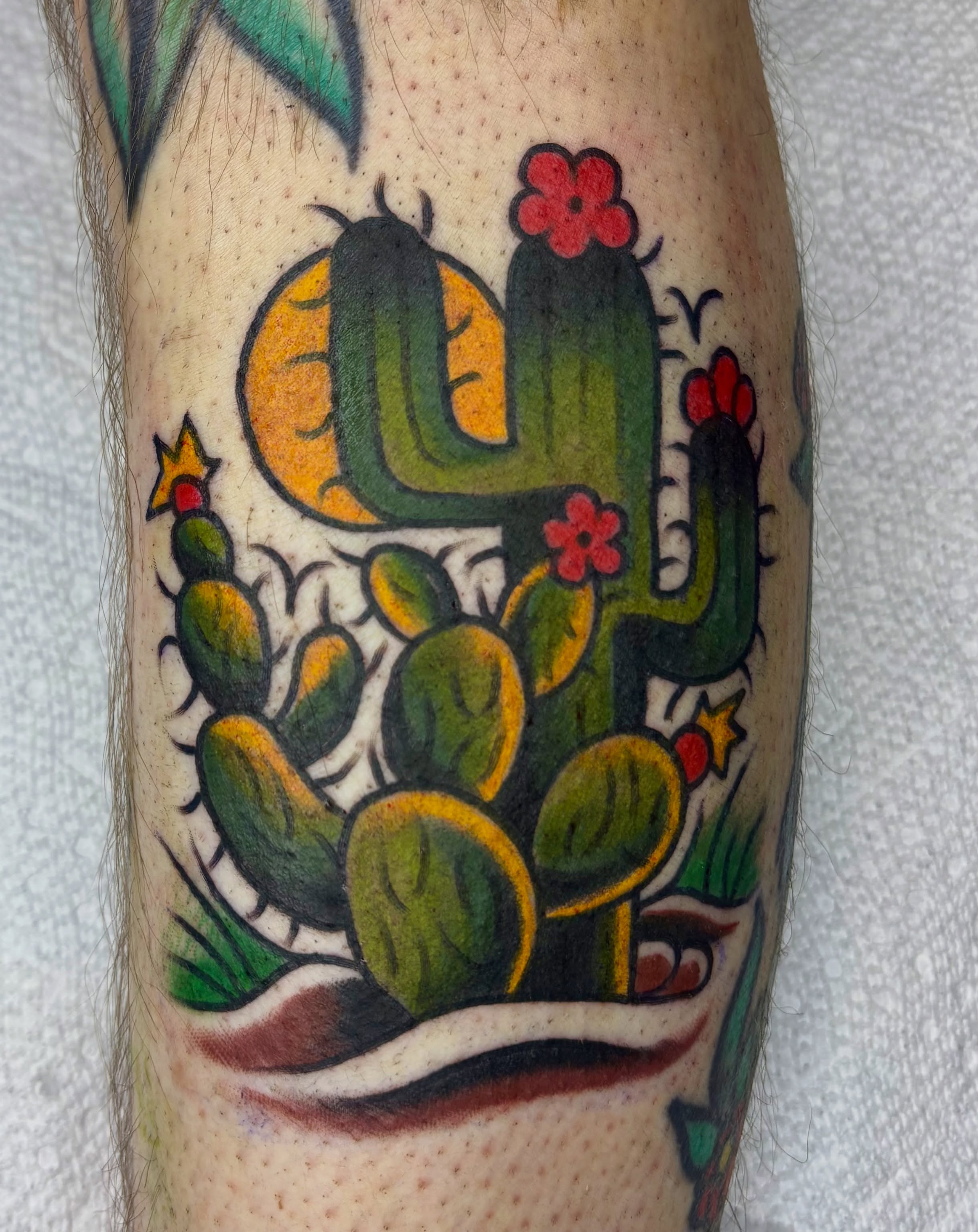 Cactus American traditional tattoo on the forearm by Butz Tattoos