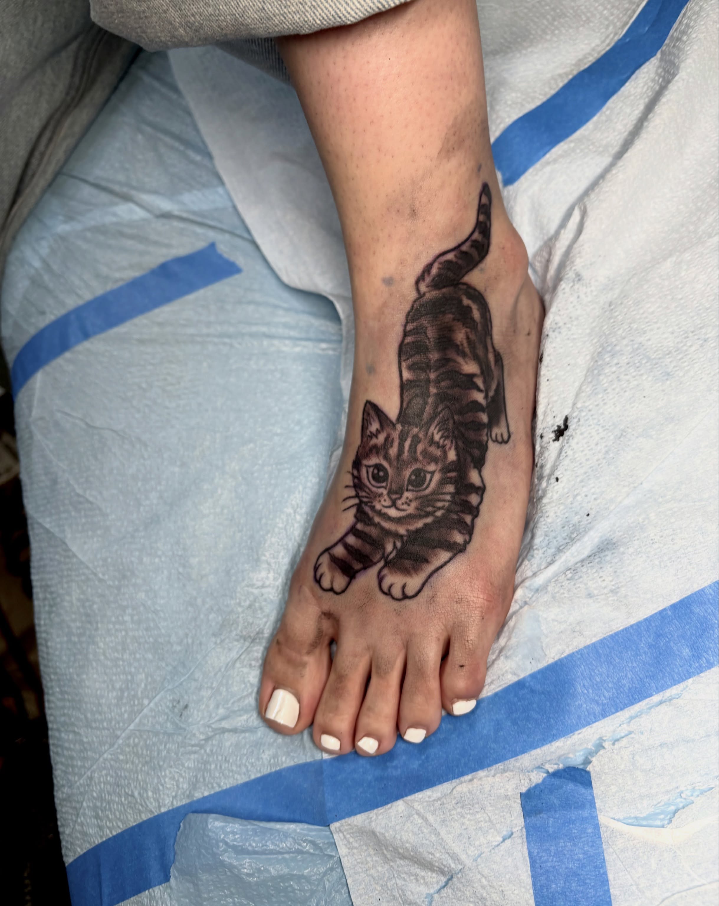 Cat realism tattoo on the foot by Butz Tattoos