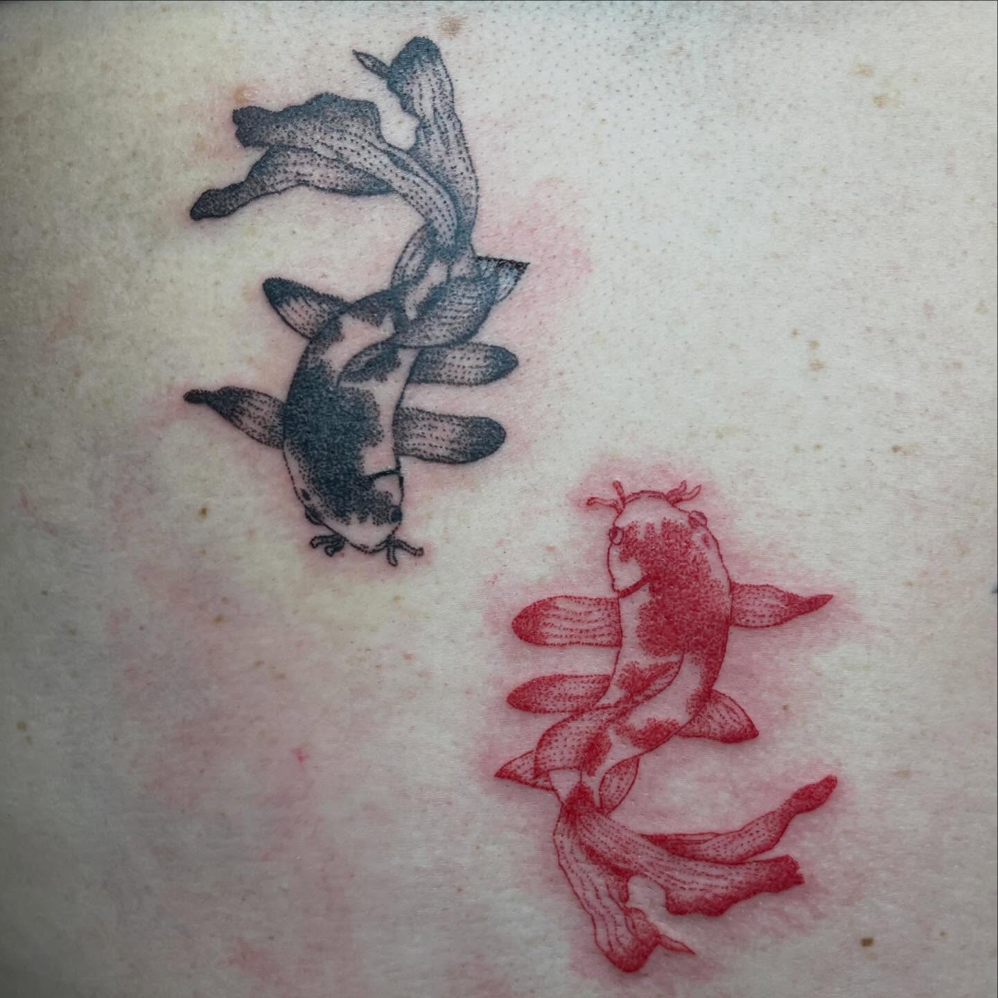 Koi fish dotwork tattoo by ⁎⁺˳✧༚Emma